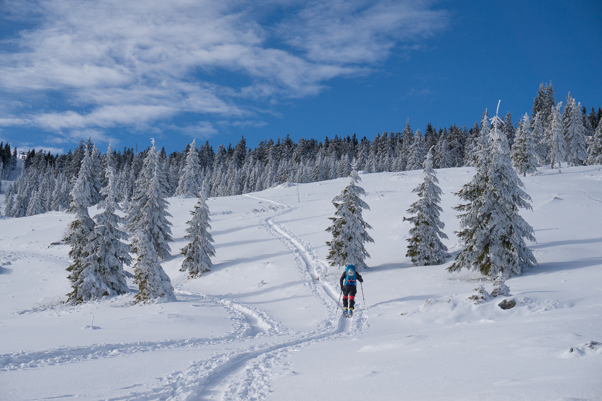  schi-de-tura-in-Vladeasa -  cover - Banda Rosie