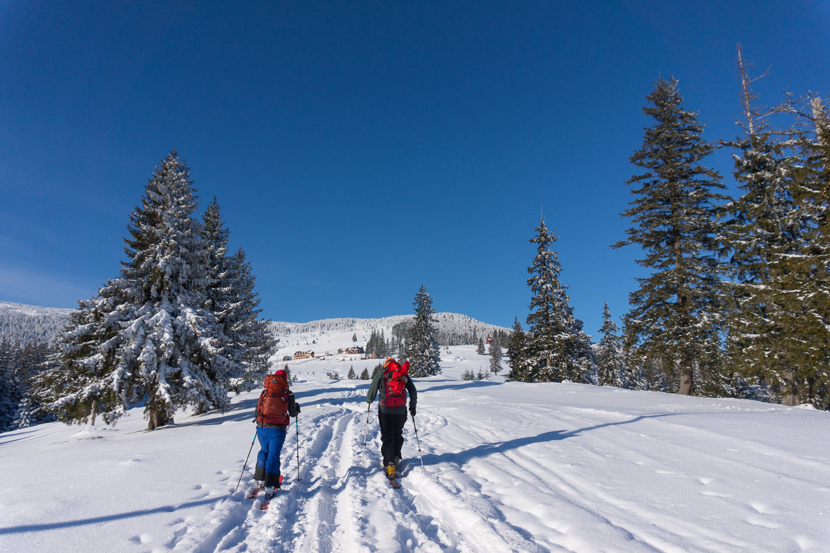  urcand-la-cabana-Vladeasa-dinspre-Rogojel - Banda Rosei
