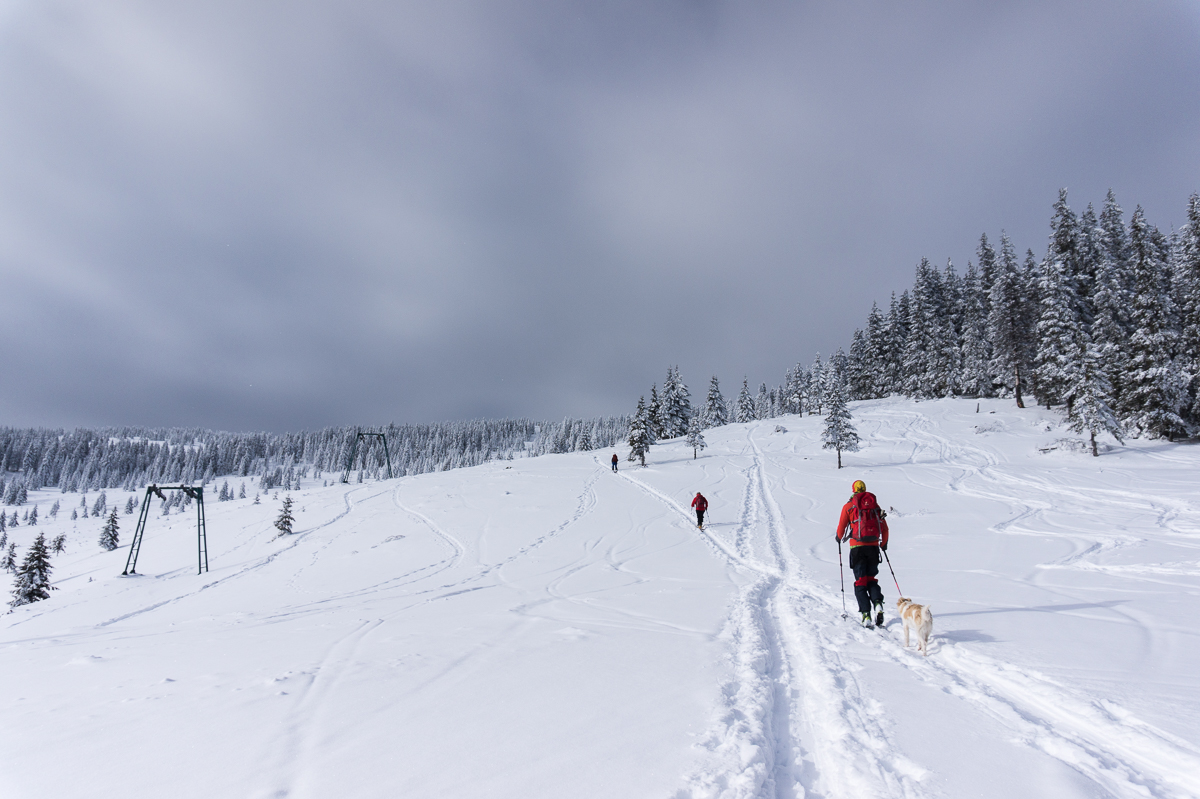  la-schi-in-Vladeasa - Banda Rosie