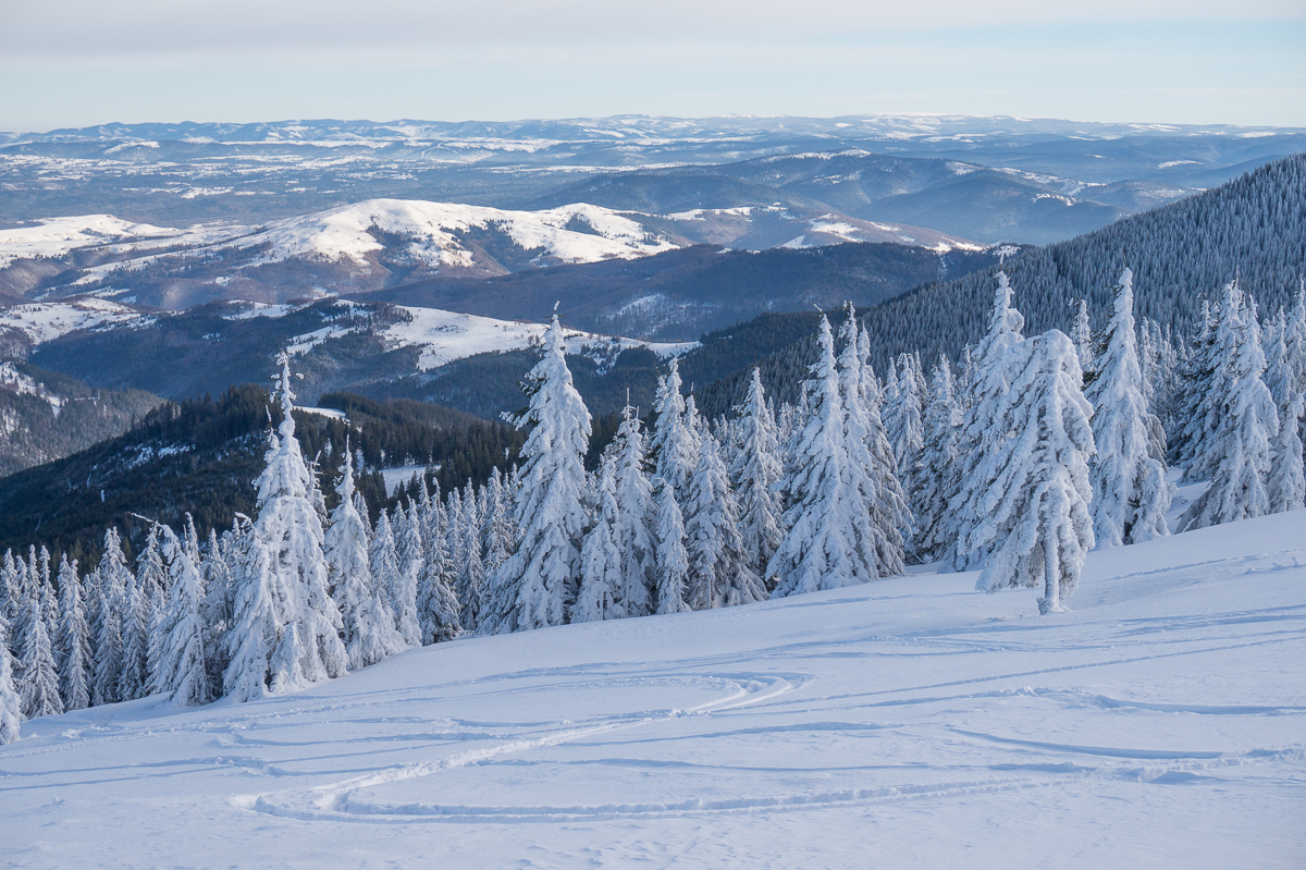  schi-de-tura-in-Vladeasa - BA - Banda Rosie