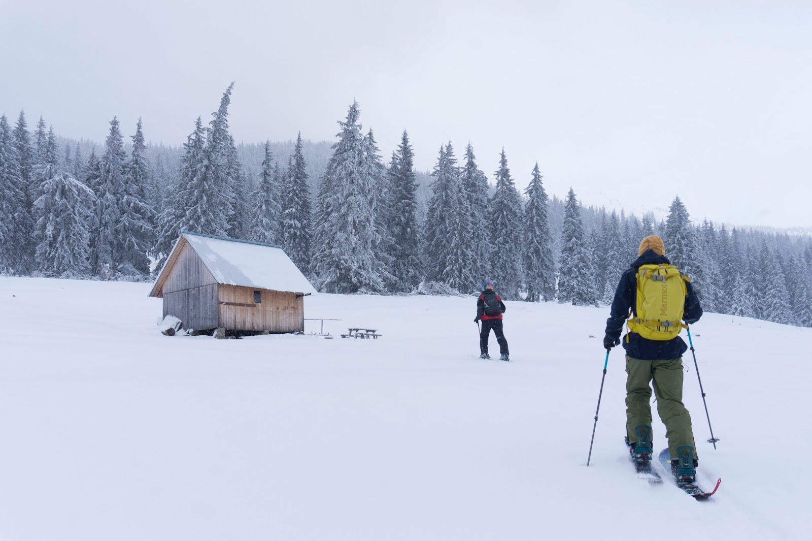  iarna-in-poiana-Faget-muntii-Vladeasa