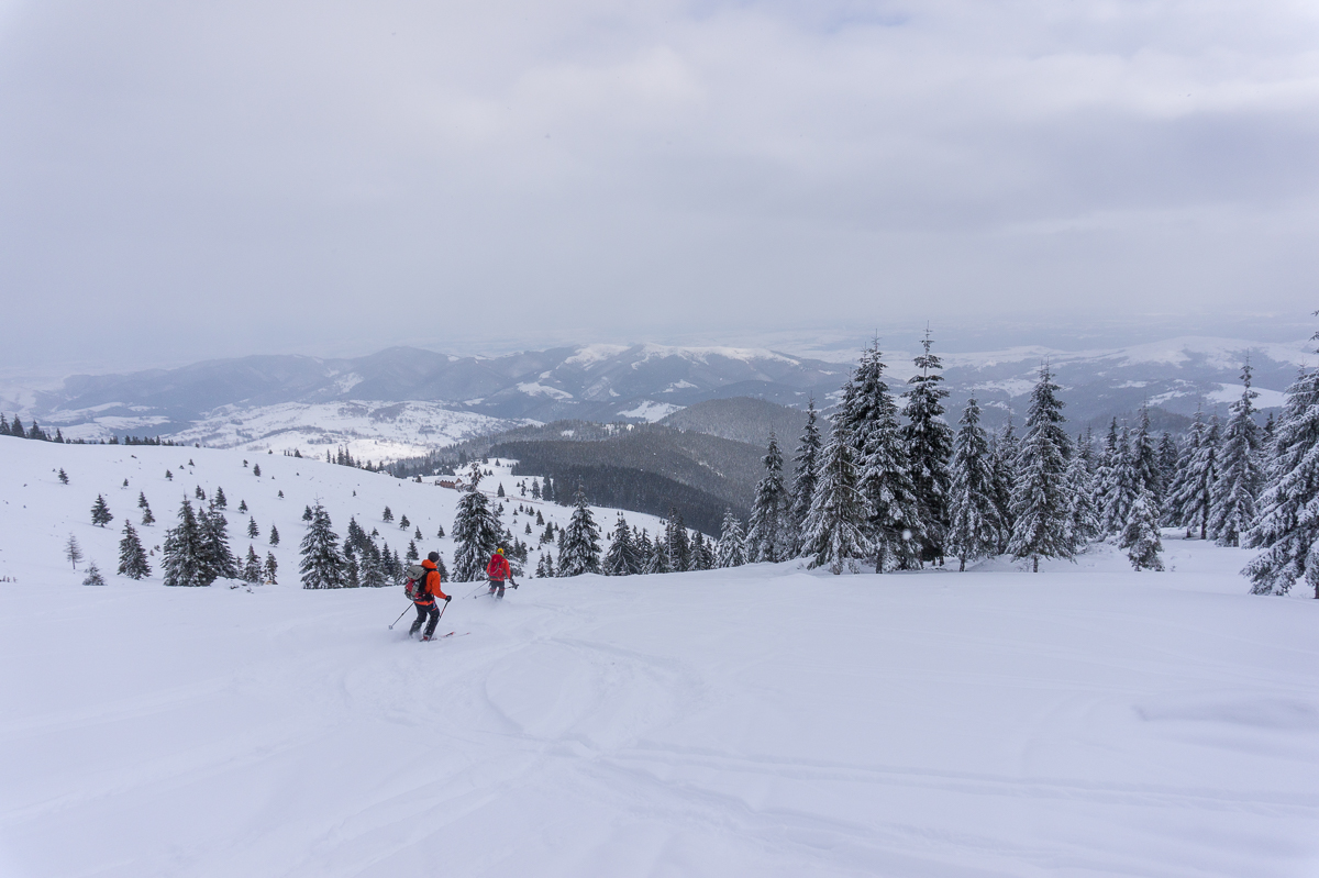  la-schi-in-Vladeasa - Banda Rosie
