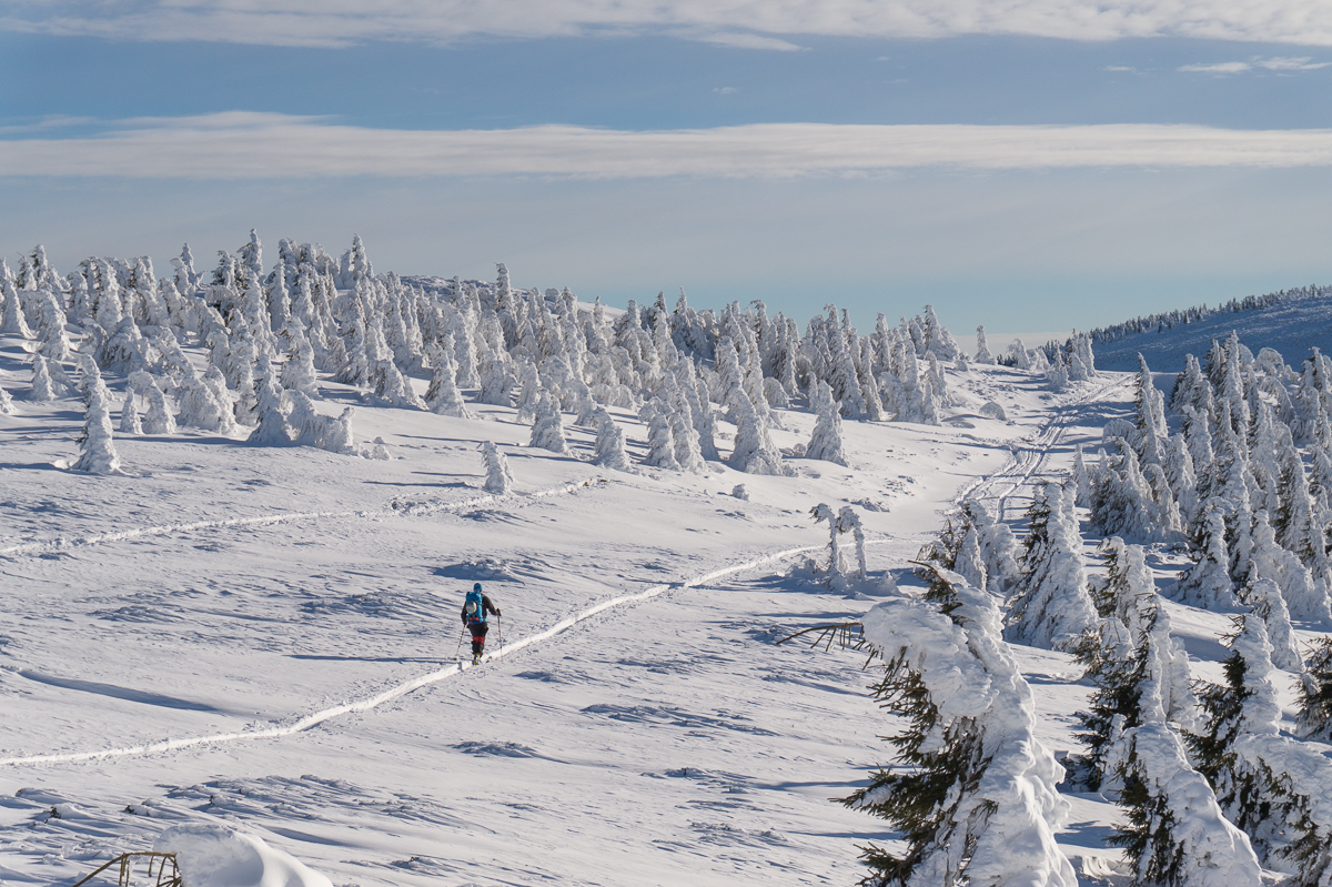  schi-de-tura-in-Vladeasa -  cover - Banda Rosie