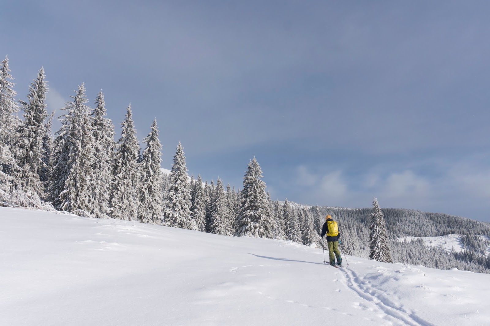  iarna-in-Vladeasa -  cover - Banda Rosie