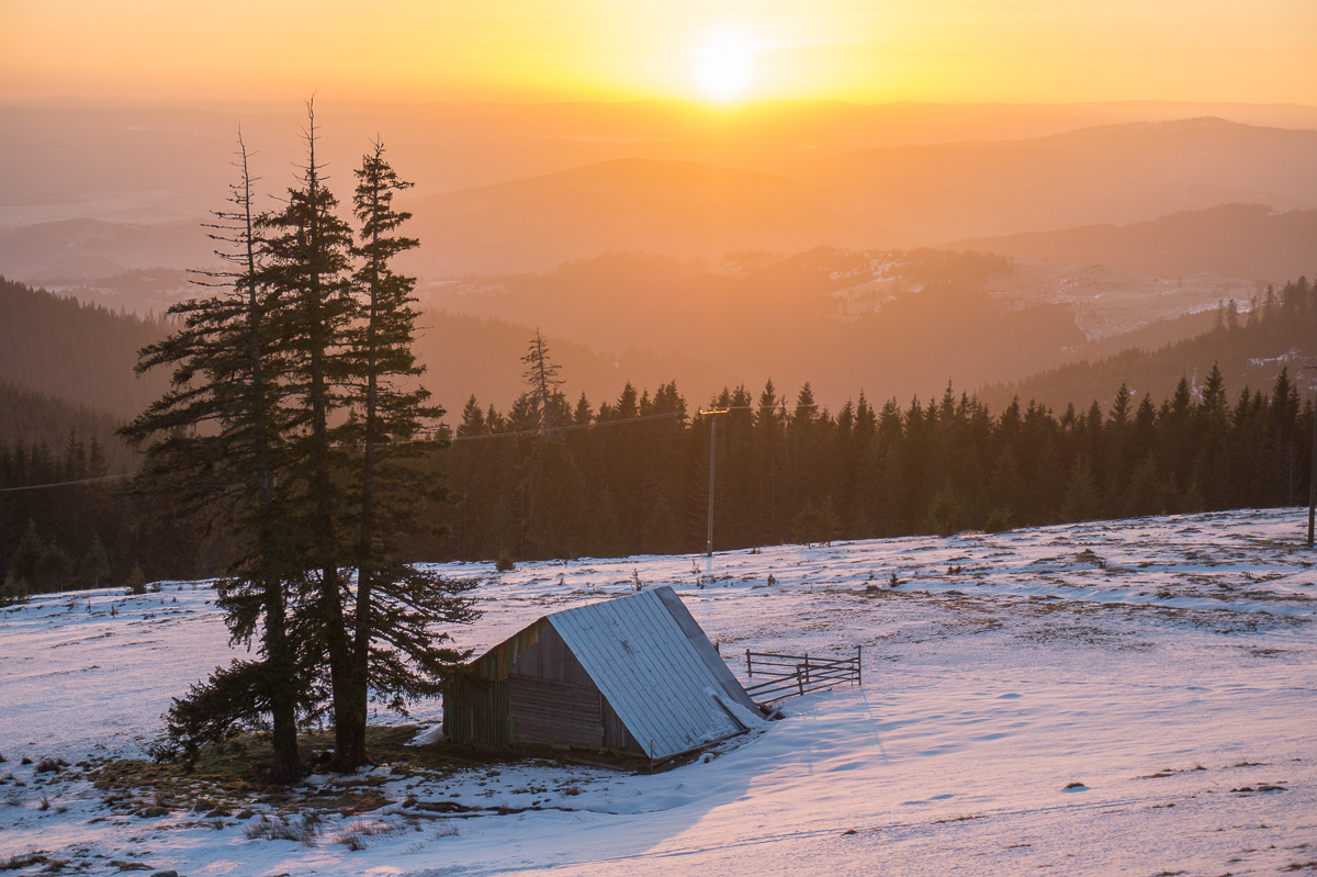  rasarit-de-la-cabana-Vladeasa - Banda Rosie