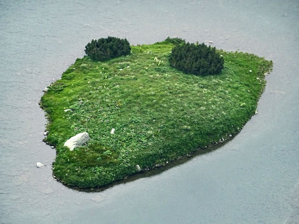 Capul de crocodil sau de țap - Tăul Țapului - Morar Daniel