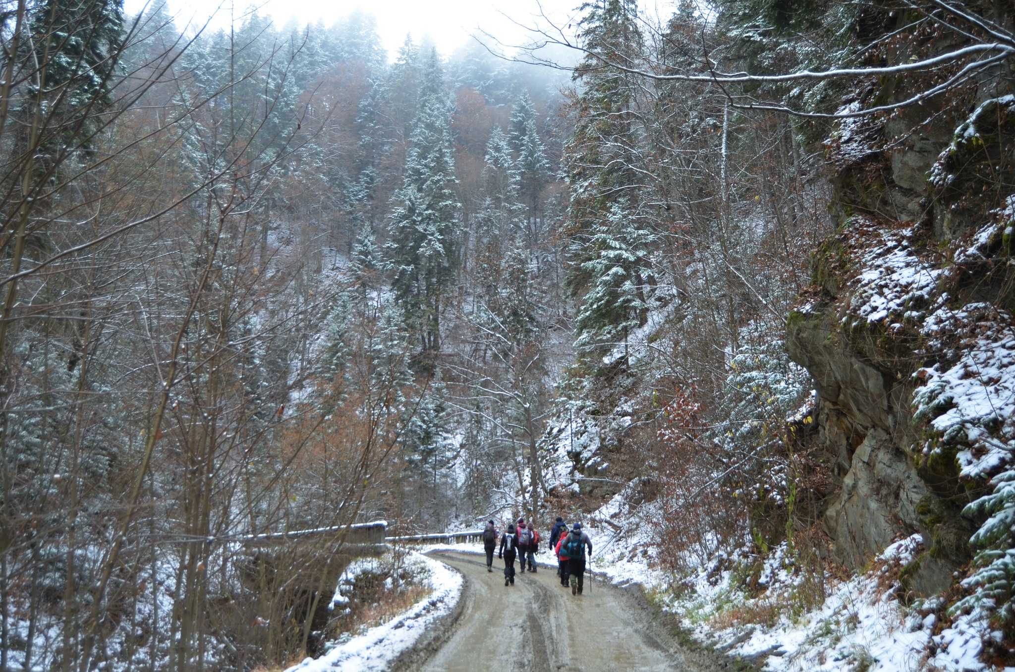  Cheile Narujei - Andrei Raftopol