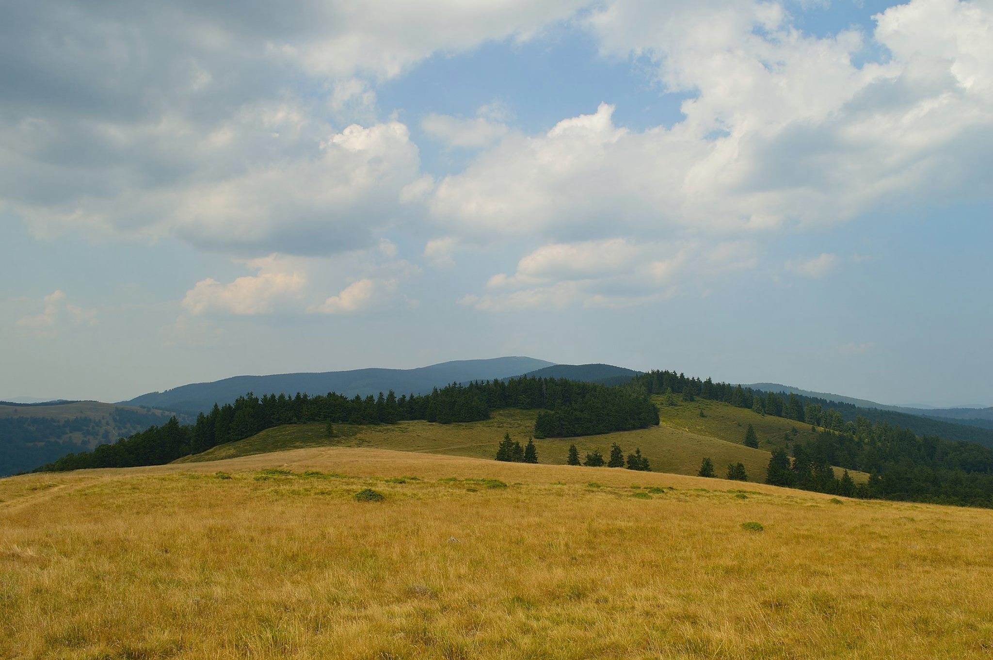  Pe Ceangău privind spre Vârful Capul Vitei - Andrei Pahomi