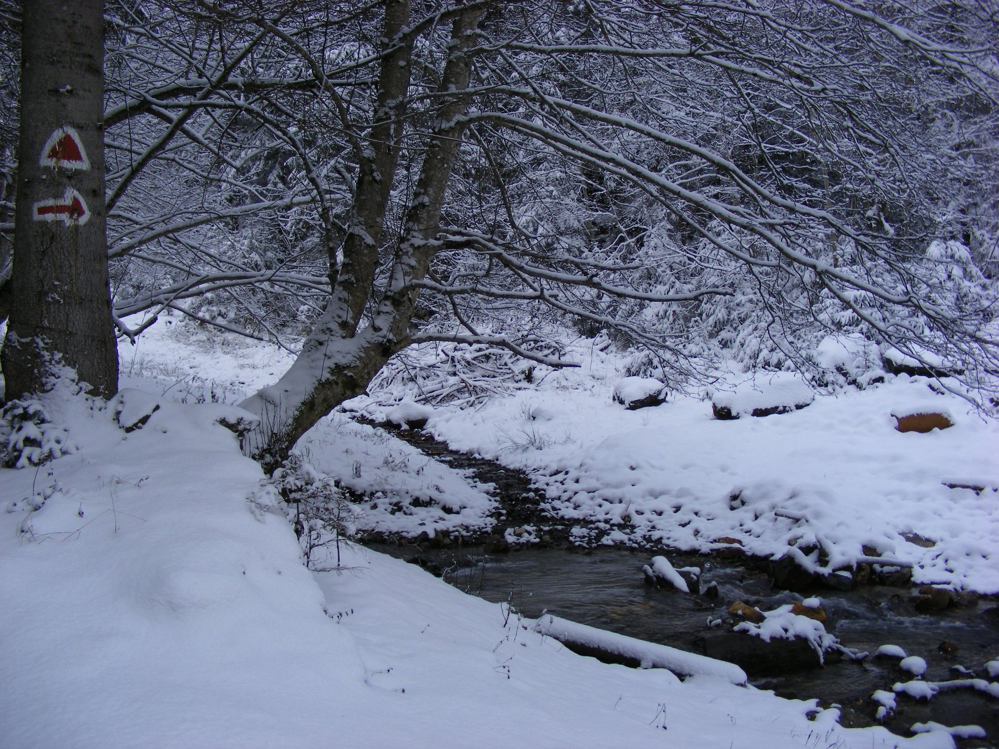 trecere peste rau - Gavrila Albert