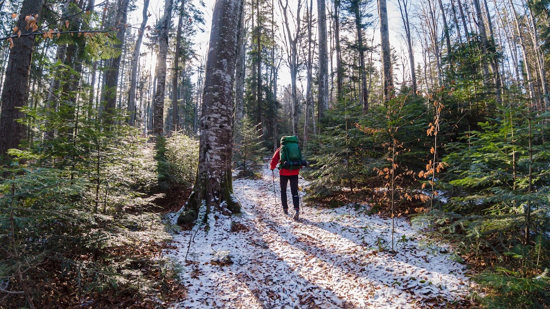  1. Urcarea spre Culmea Caprioarei - Andrei Pahomi