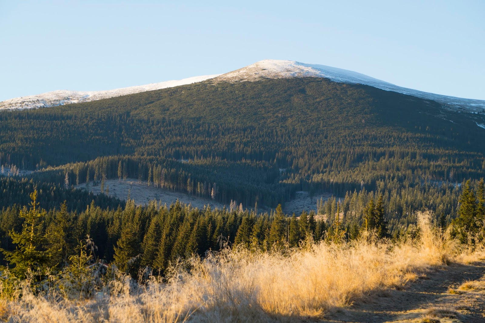 Varful-lui-Patru-vazut-din-Luncile-Prigoanei - Alina Cirja