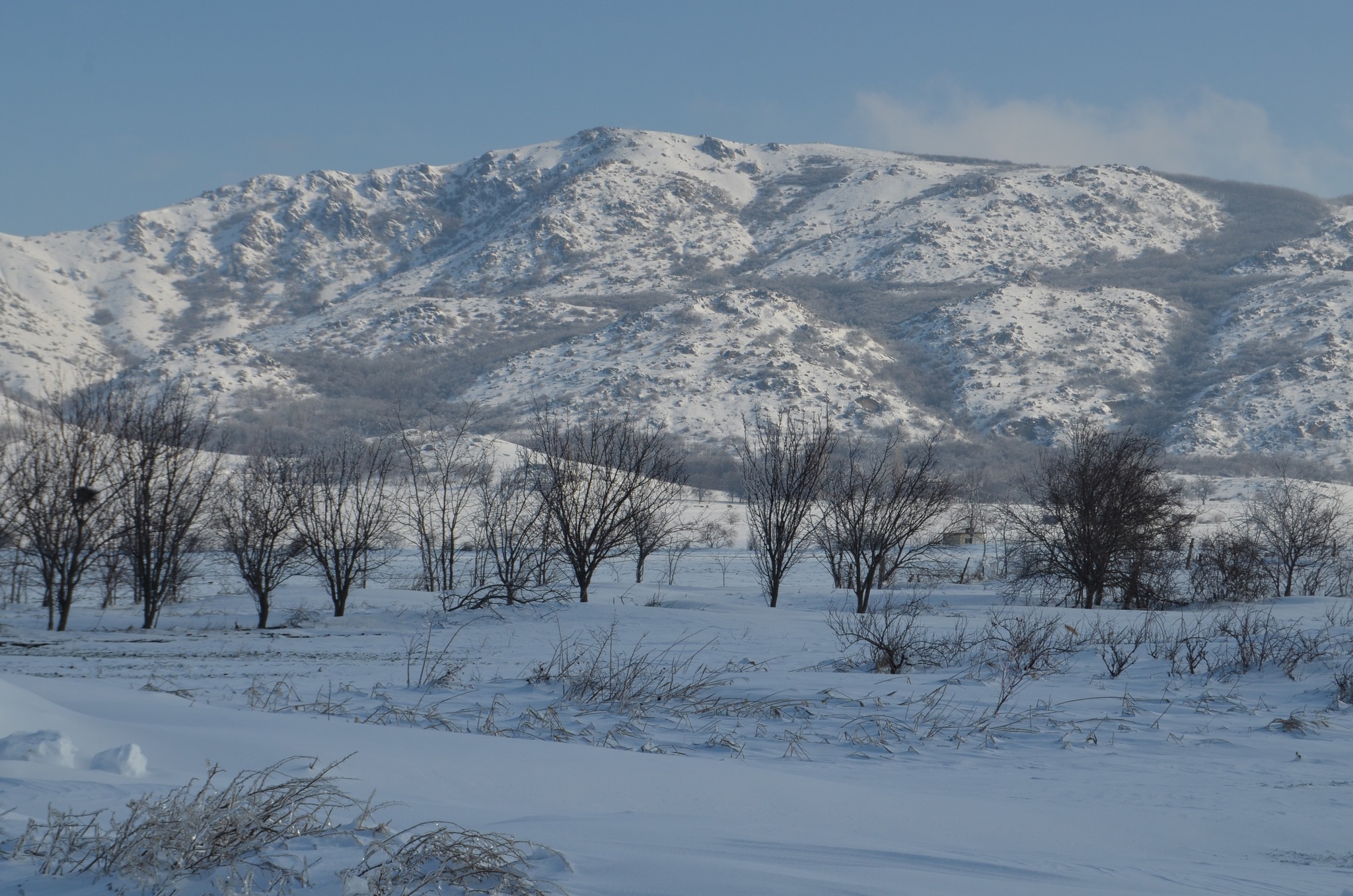  vedere spre Suluku Mare - Andrei Raftopol