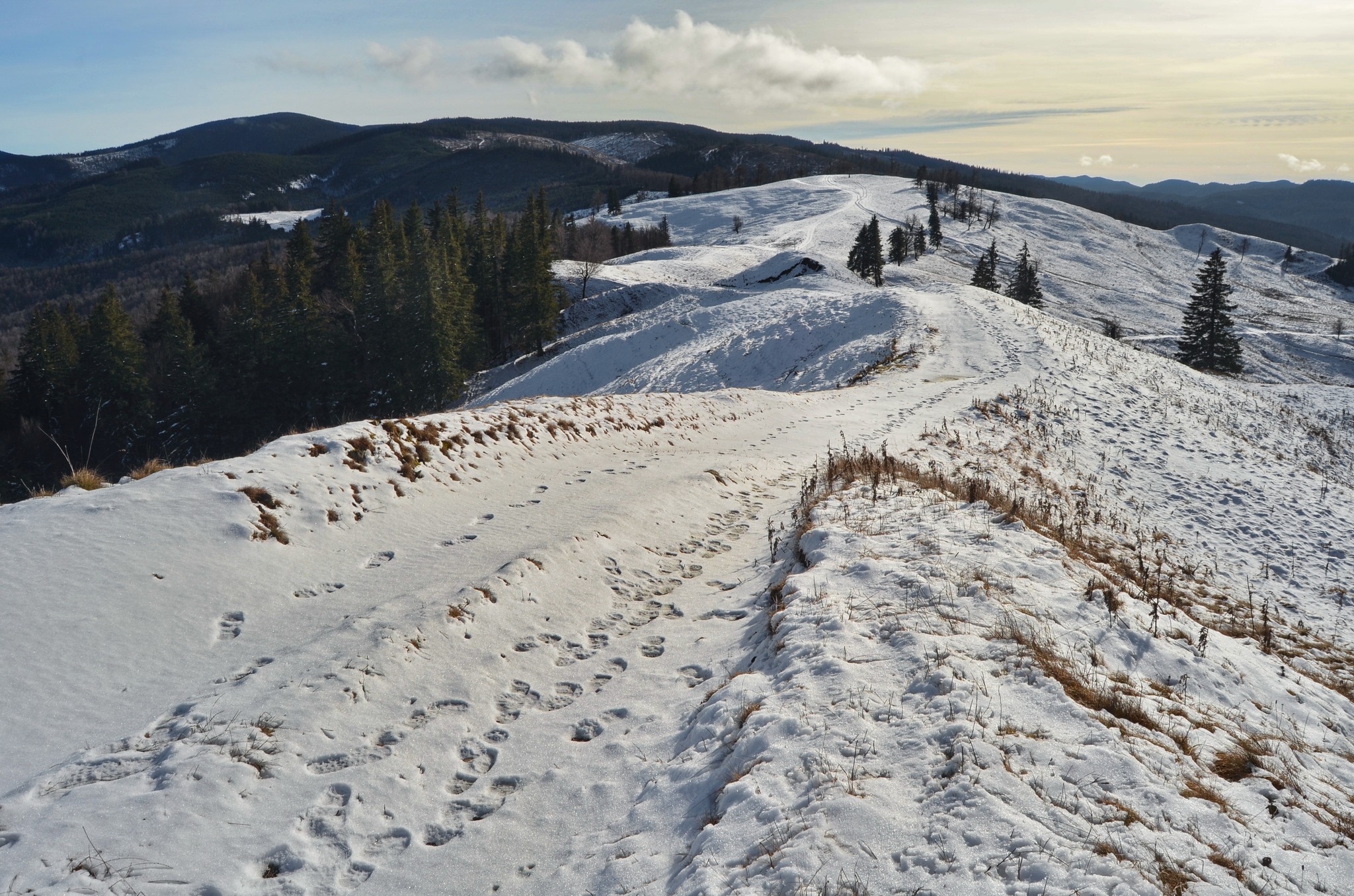  10. Golul Pietrosului, vedere spre Casaria, Zboina Frumoasa - Andrei Raftopol