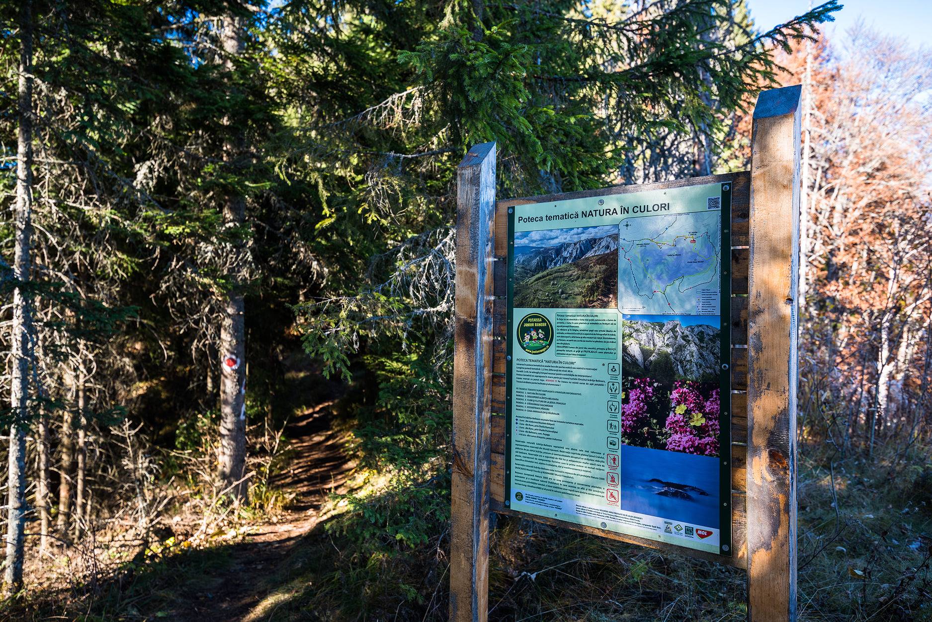  Intrarea pe poteca tematică - Morar Daniel