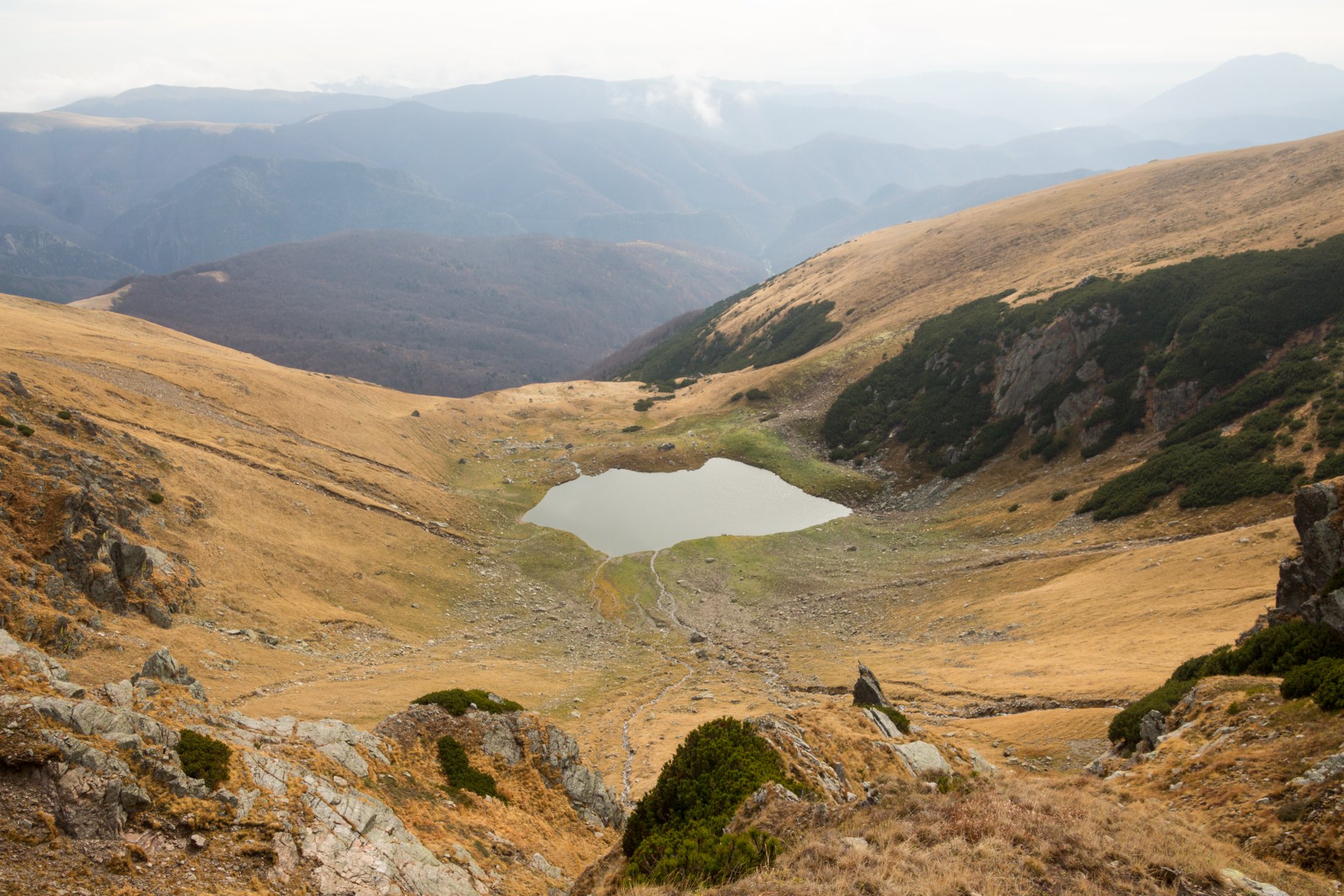  Lacul Gârdomanu - Csaba-Ilie Silvesan