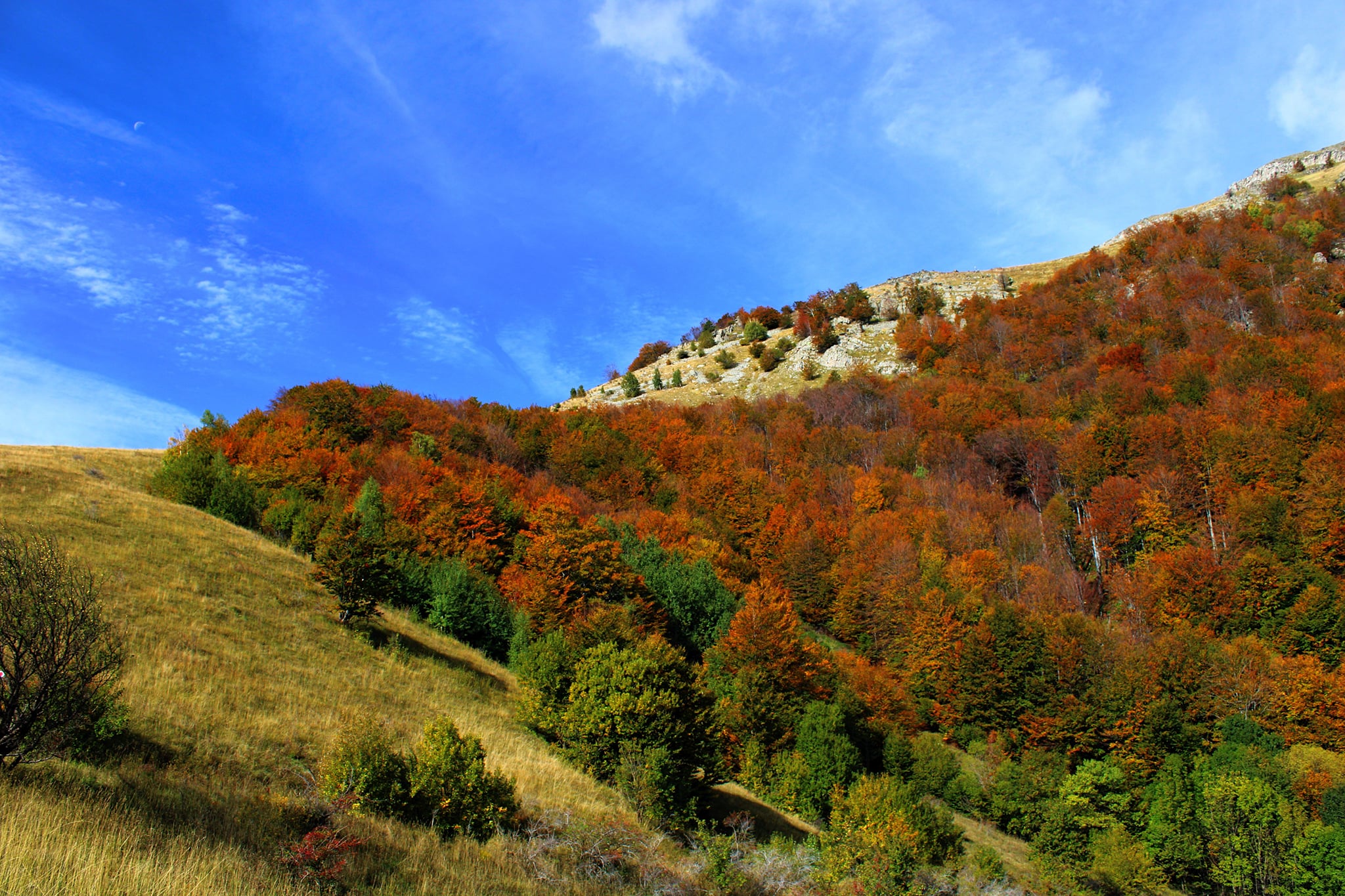  Urcarea din Poiana Lungă - Sima Constantin