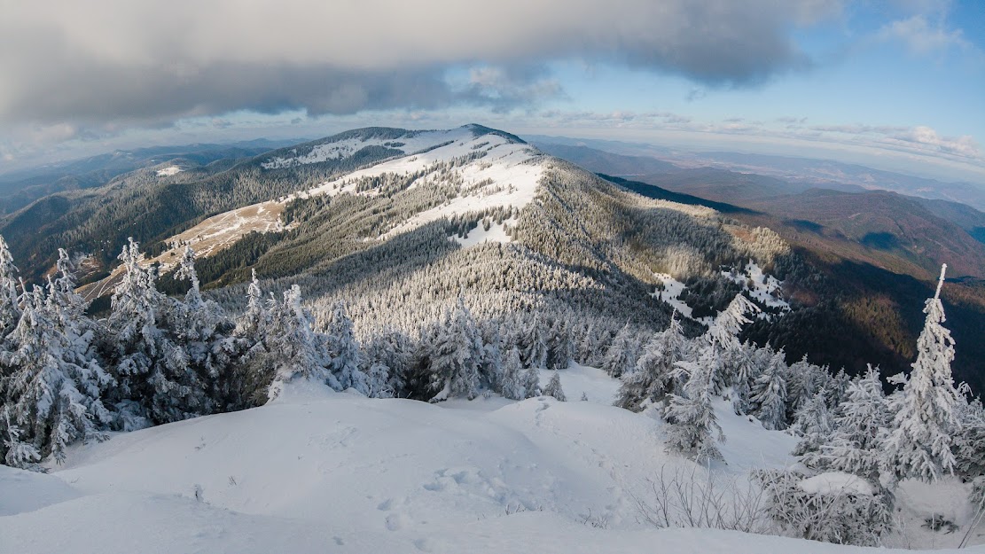   Nemira Mica spre Nemira Mare
