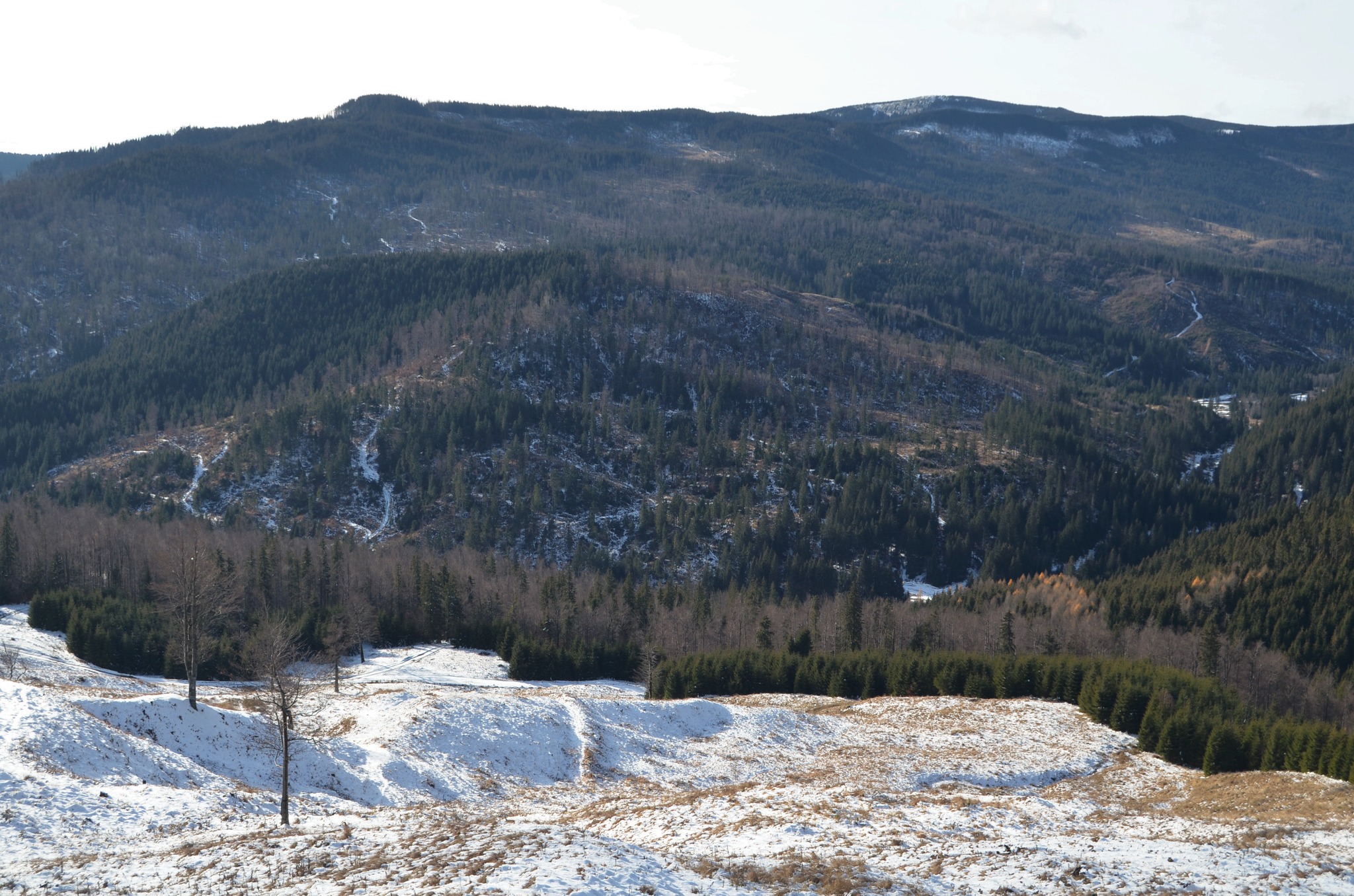  11. Valea Zabala și Creasta Giurgiului - Andrei Raftopol