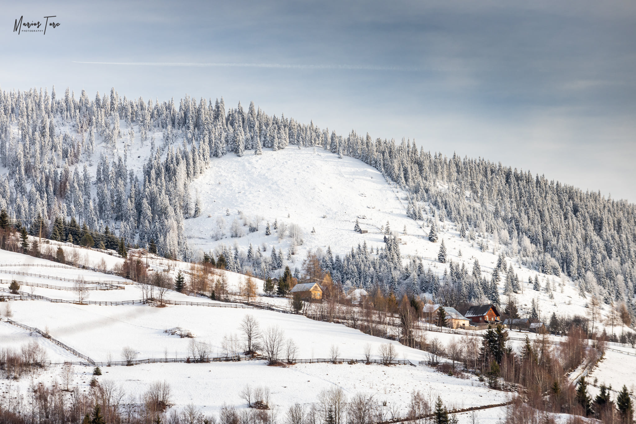  In drum spre culme - Marius Turc