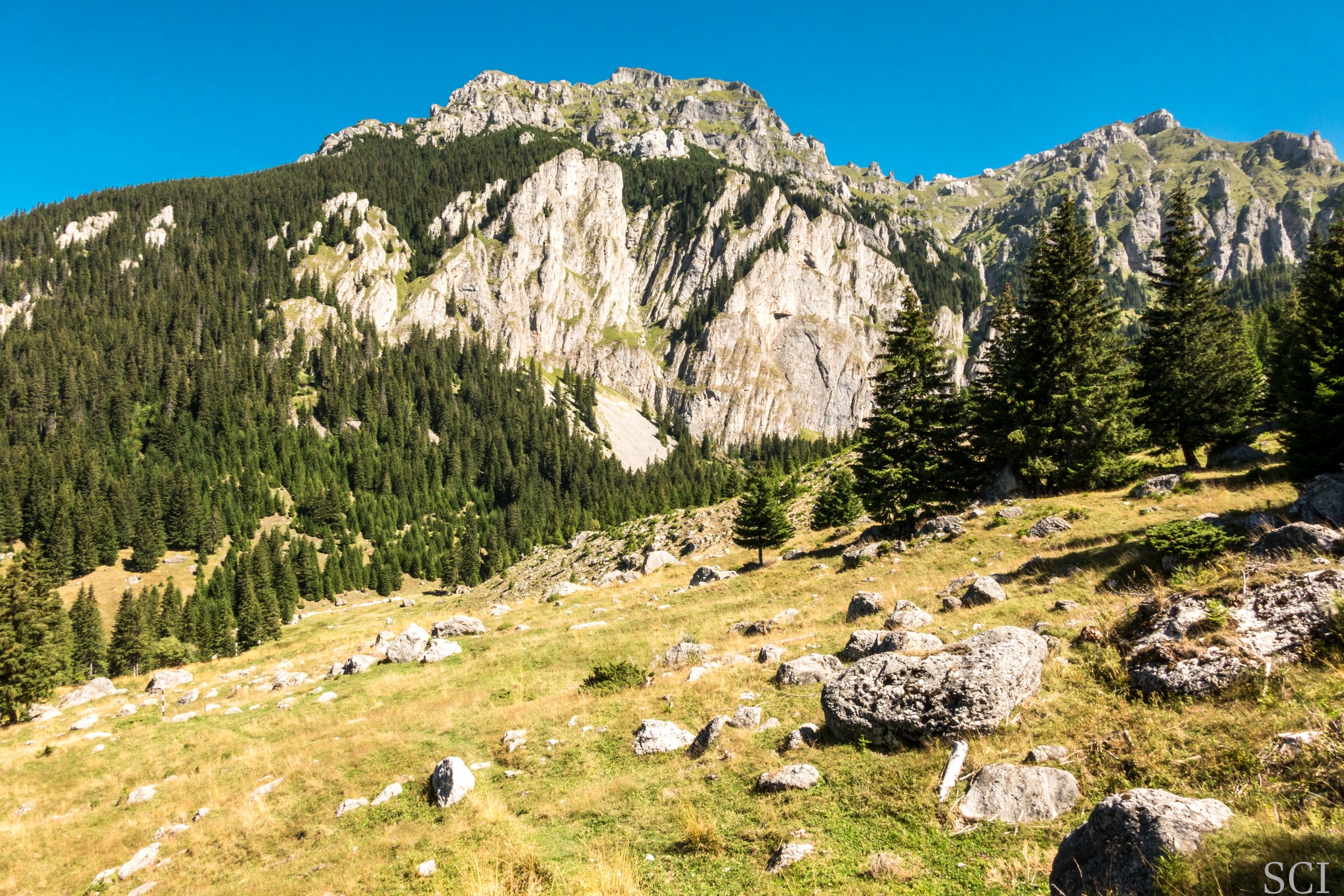  Poiana Gaura- Csaba-Ilie Silvesan