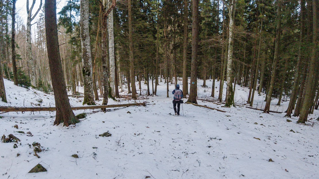 Coborârea pe Cruce albastră - Andrei Pahomi