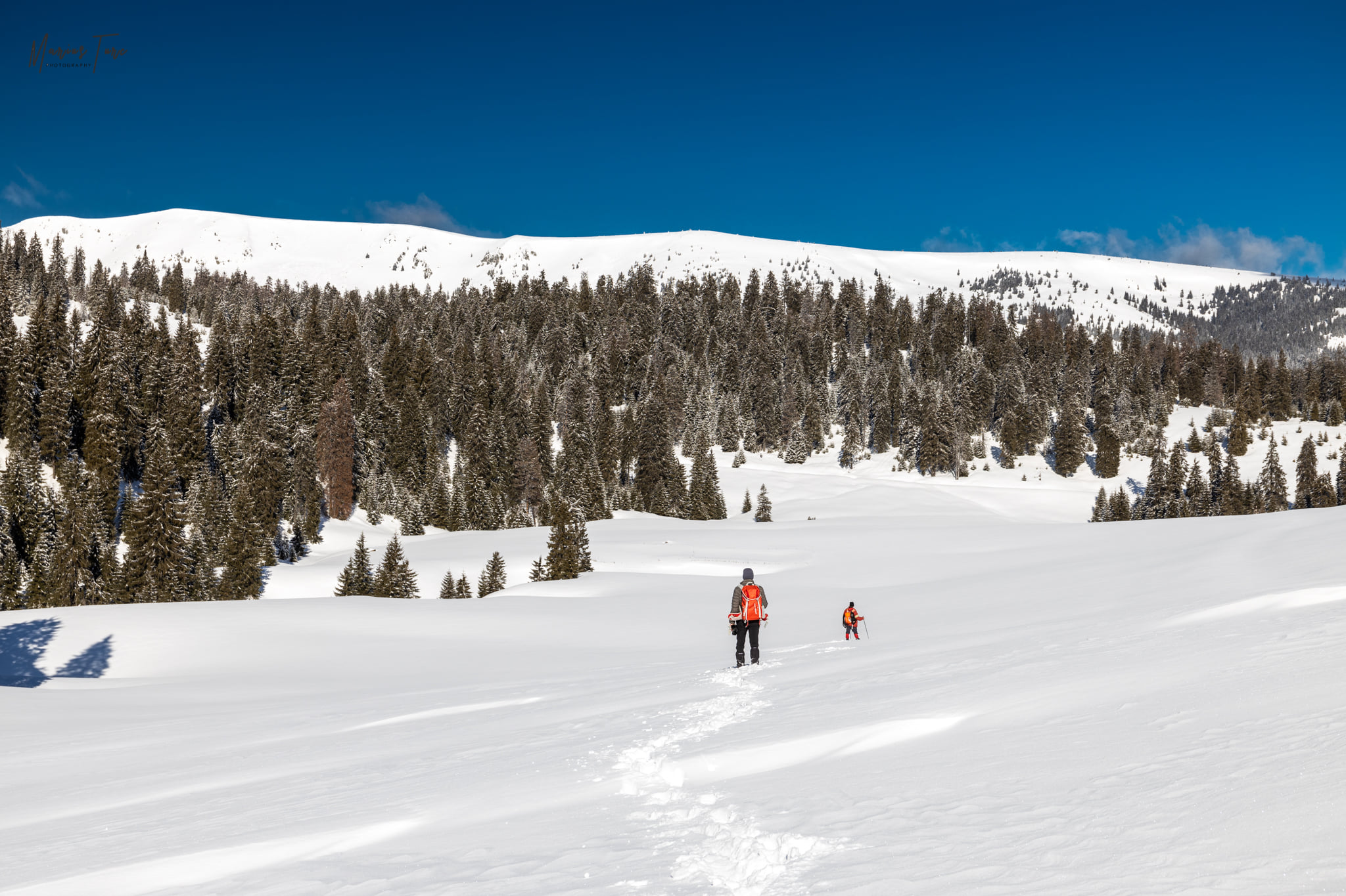 Spre culmea Carligate - Marius Turc