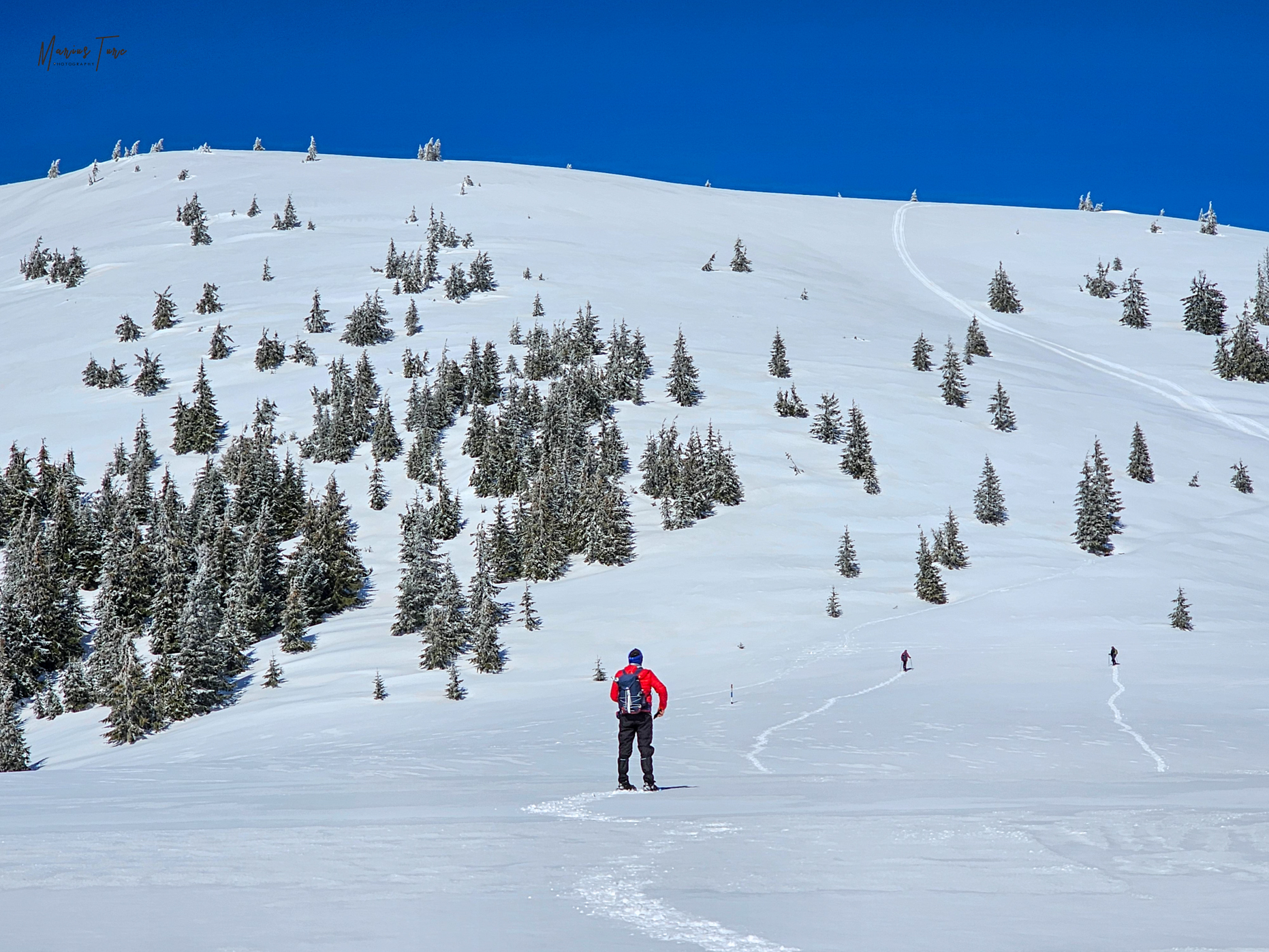  Urcarea spre Șaua Cumpănățelu - Marius Turc