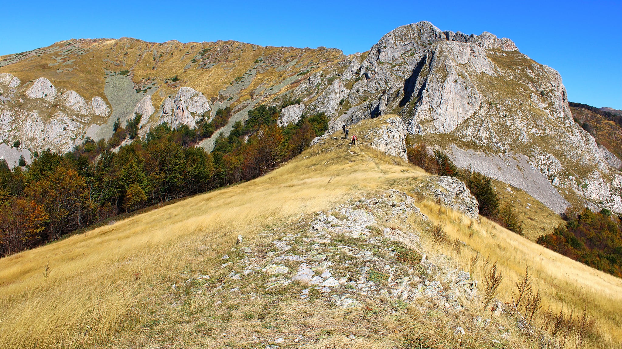  Vf. Biliana - Zascol - Arjana. - Sima Constantin