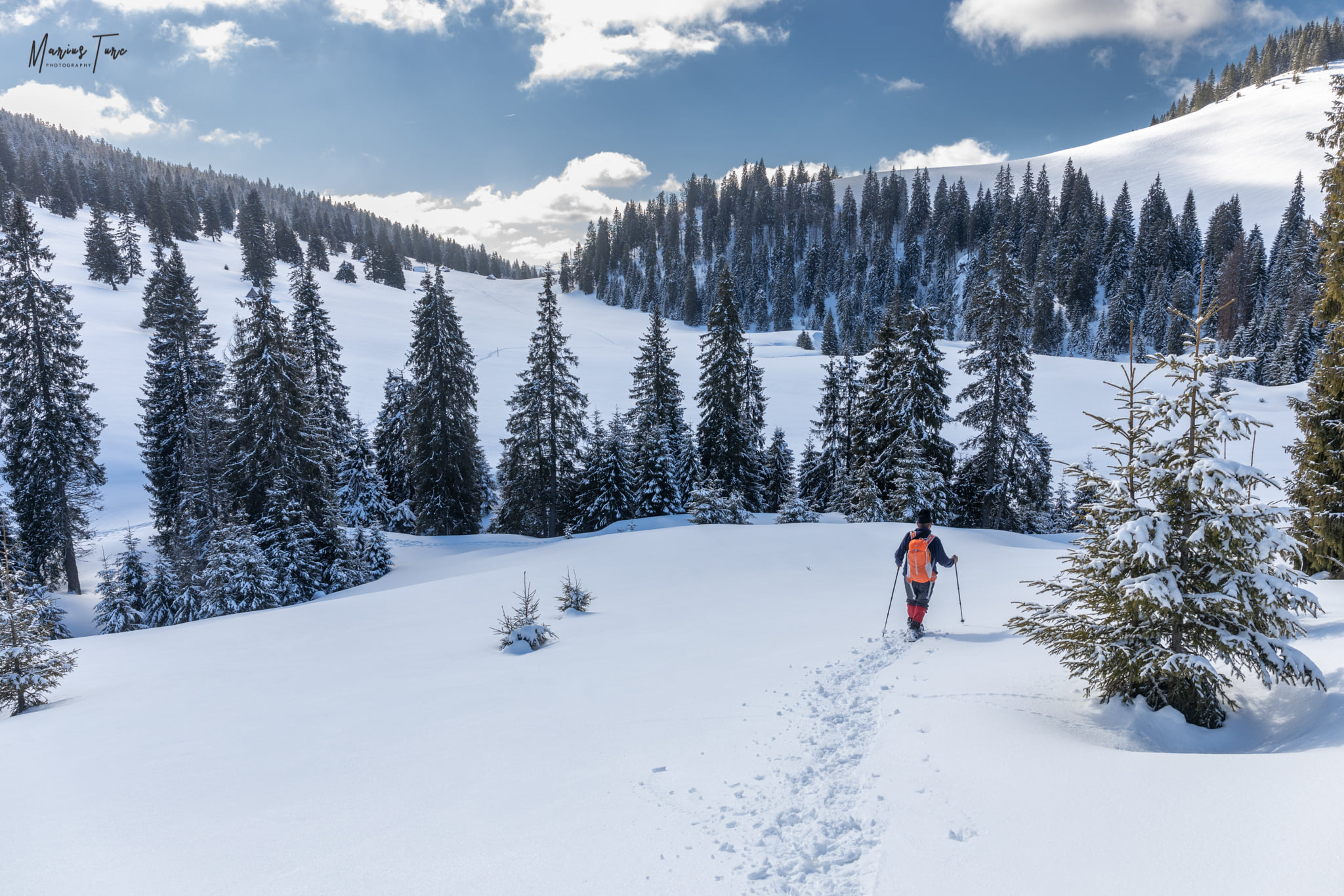  Carari albe - Marius Turc