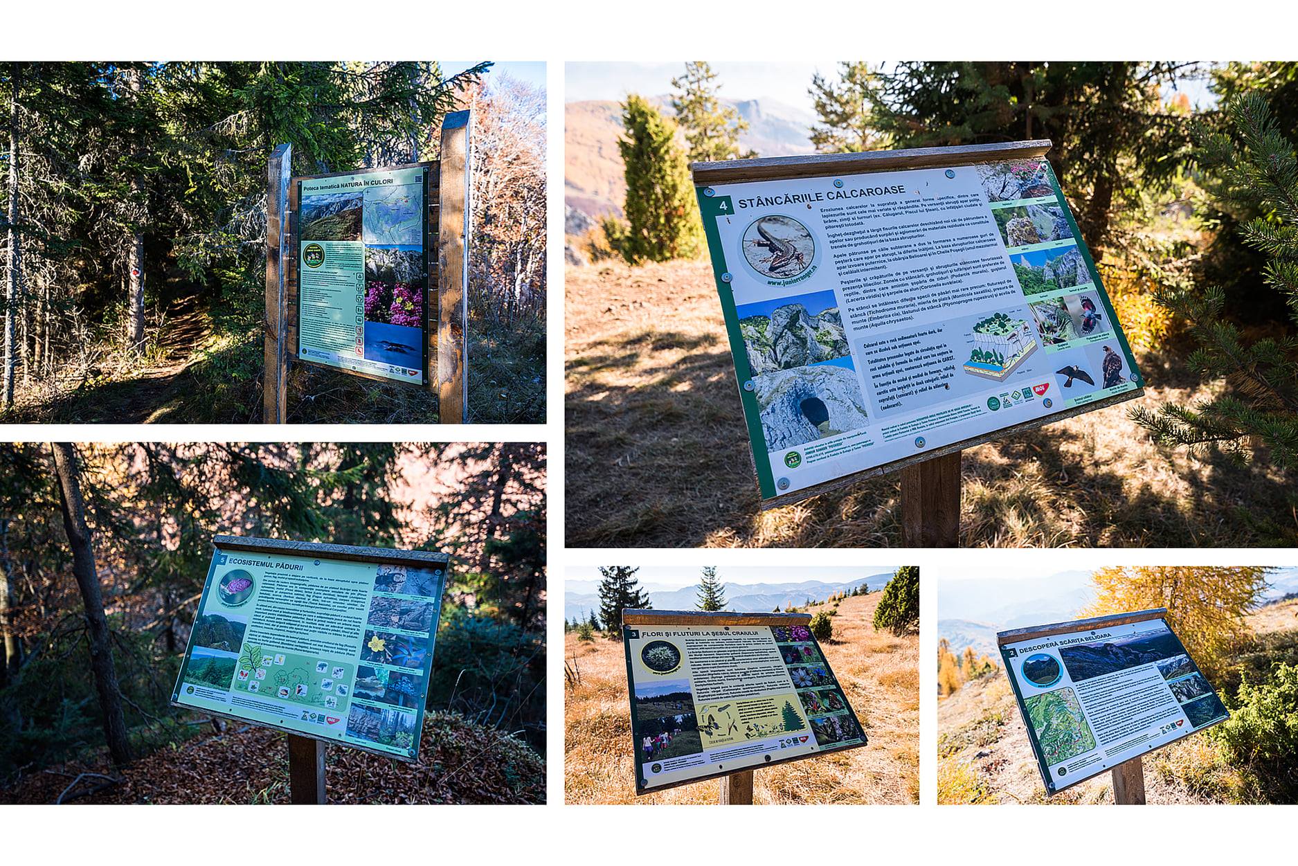  15. Panourile informative ale potecii tematice Natura In culori - Daniel Morar