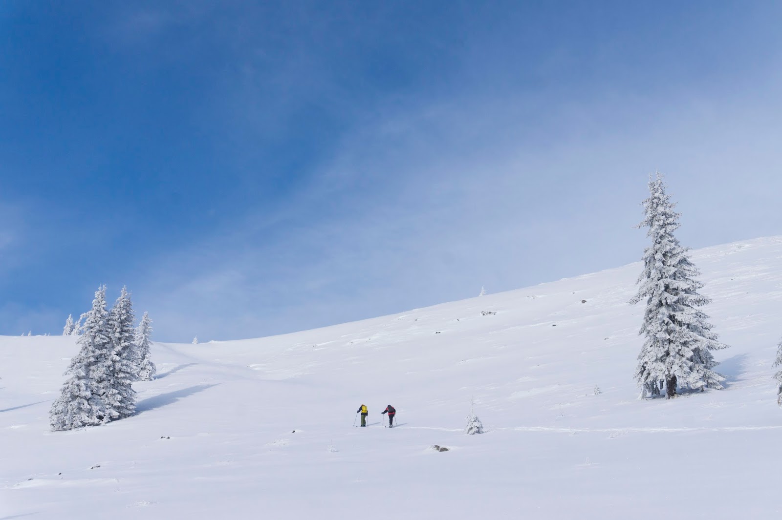  schi-de-tura-in-Vladeasa - Banda Rosie