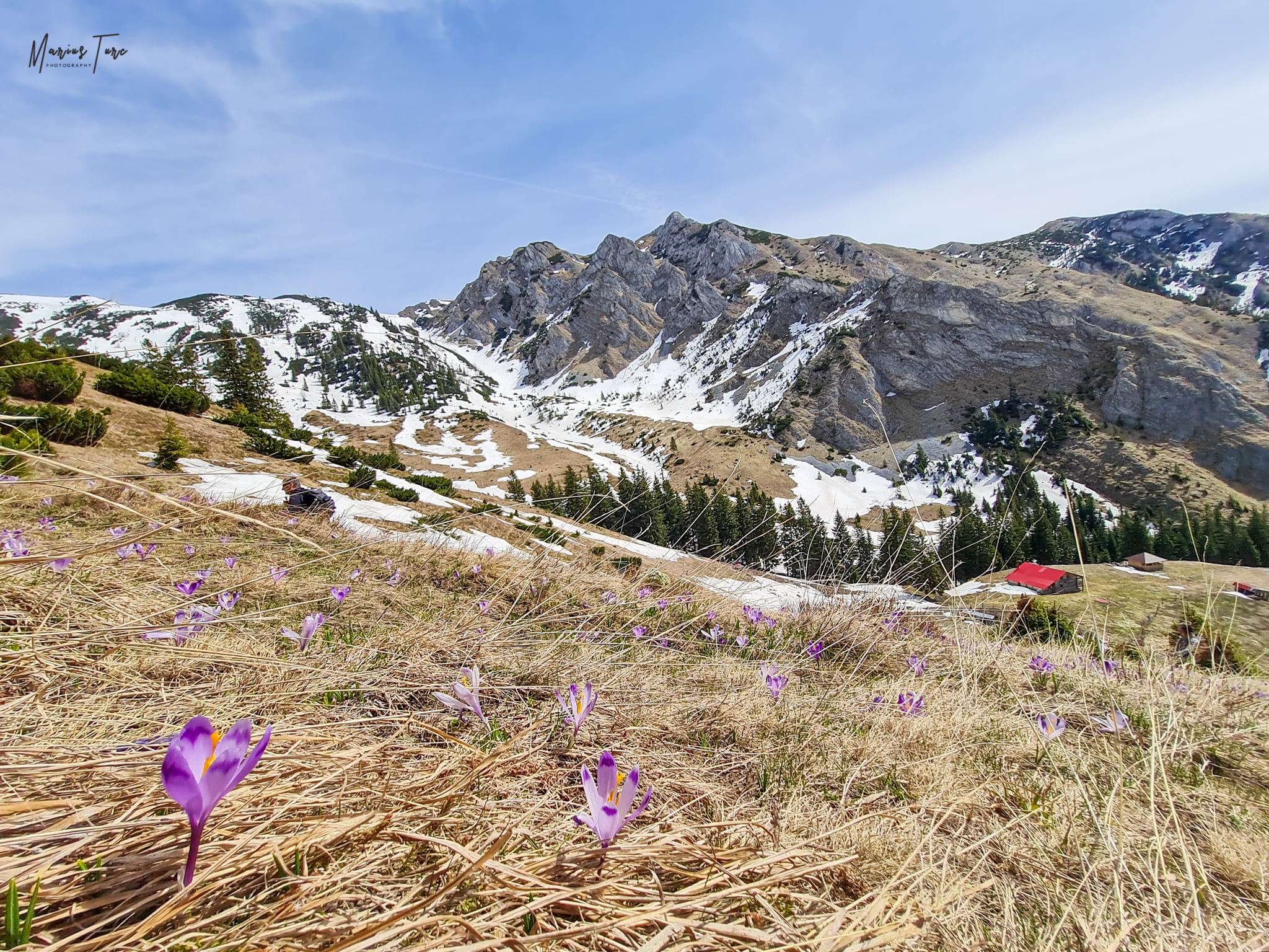  Branduse la inaltime - Marius Turc