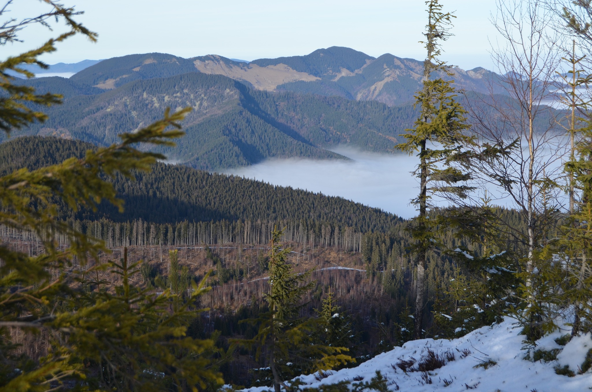  Vedere spre Muntele Coza - Andrei Raftopol