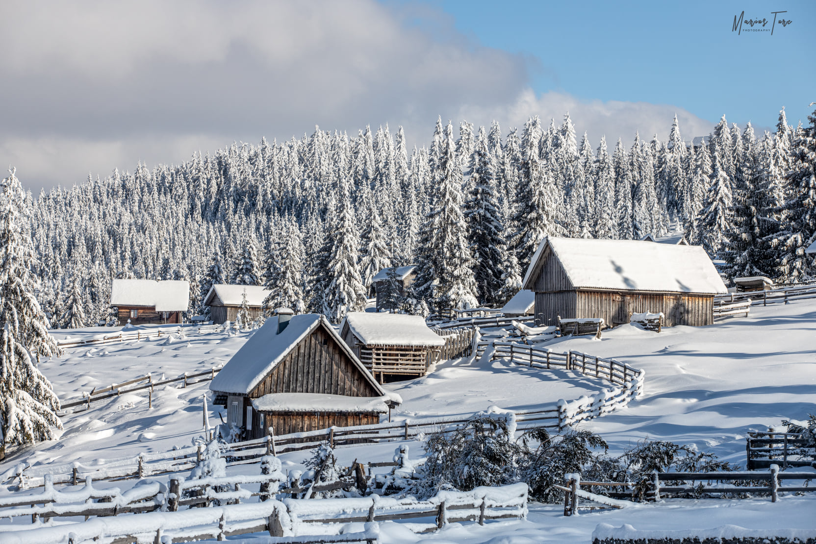  Ce frumusete iarna - Marius Turc