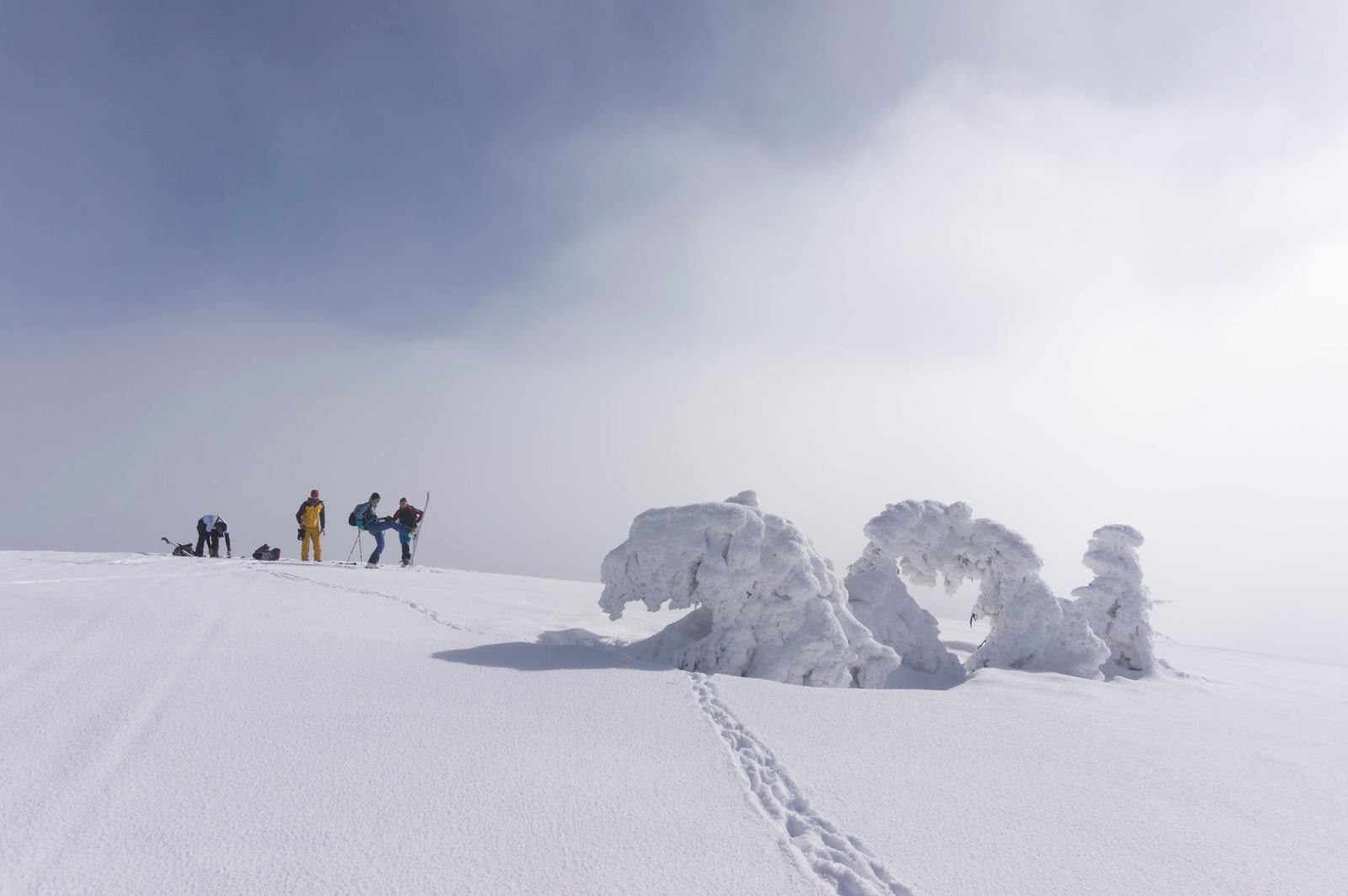  spre_saua_cumpanatelul