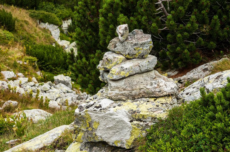 Momai spre Lacul Pasari - Morar Daniel