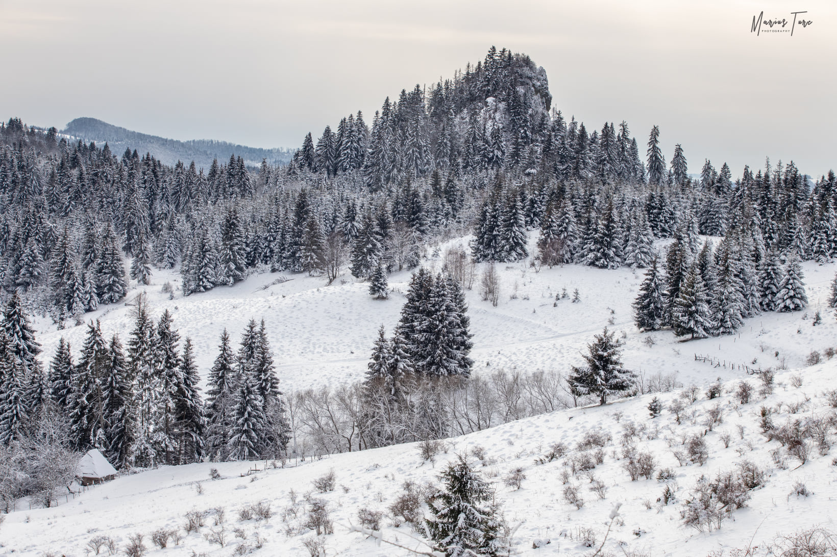  Detunata Goală - Marius Turc