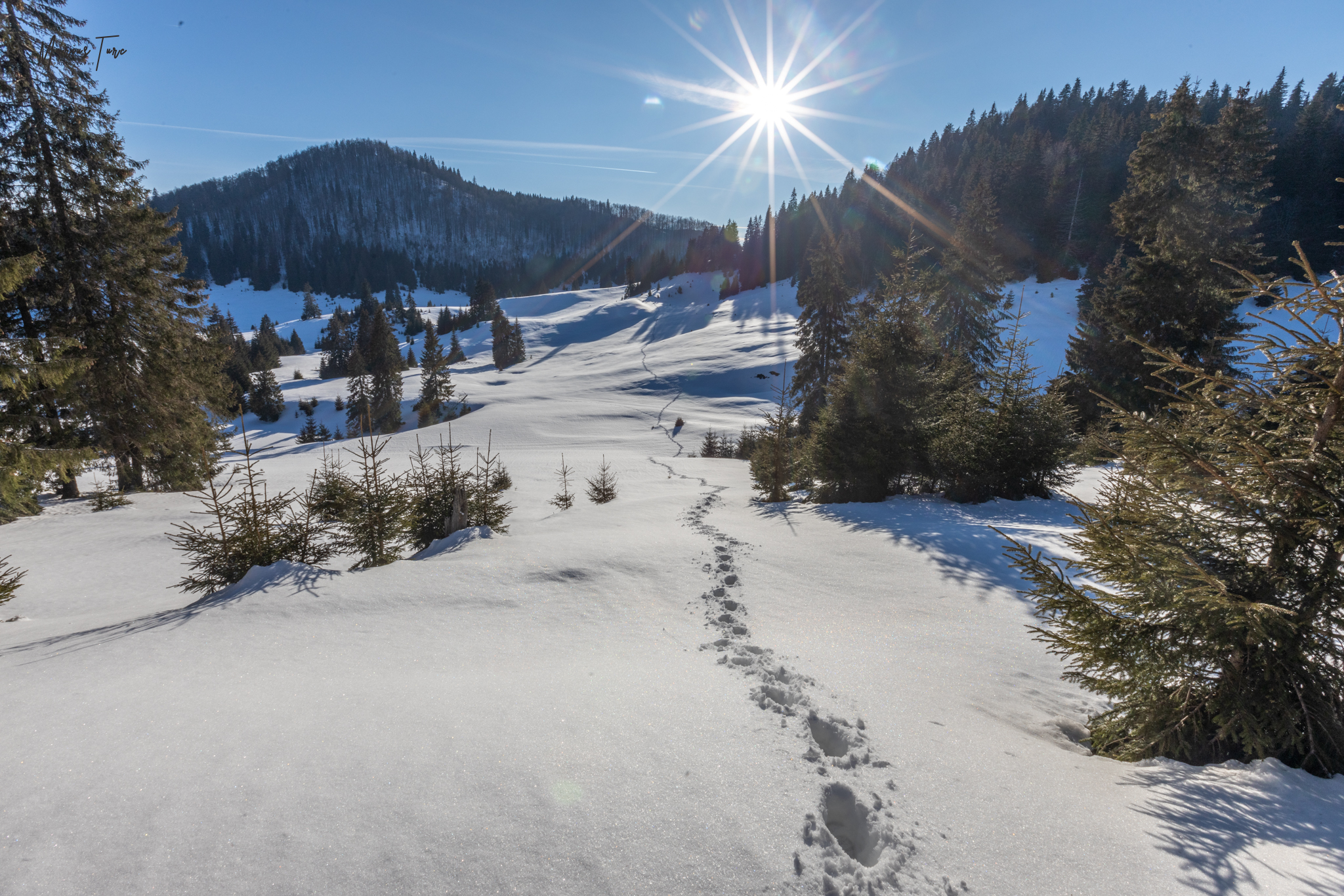  Urme spre Pietrele Boghii - Marius Turc