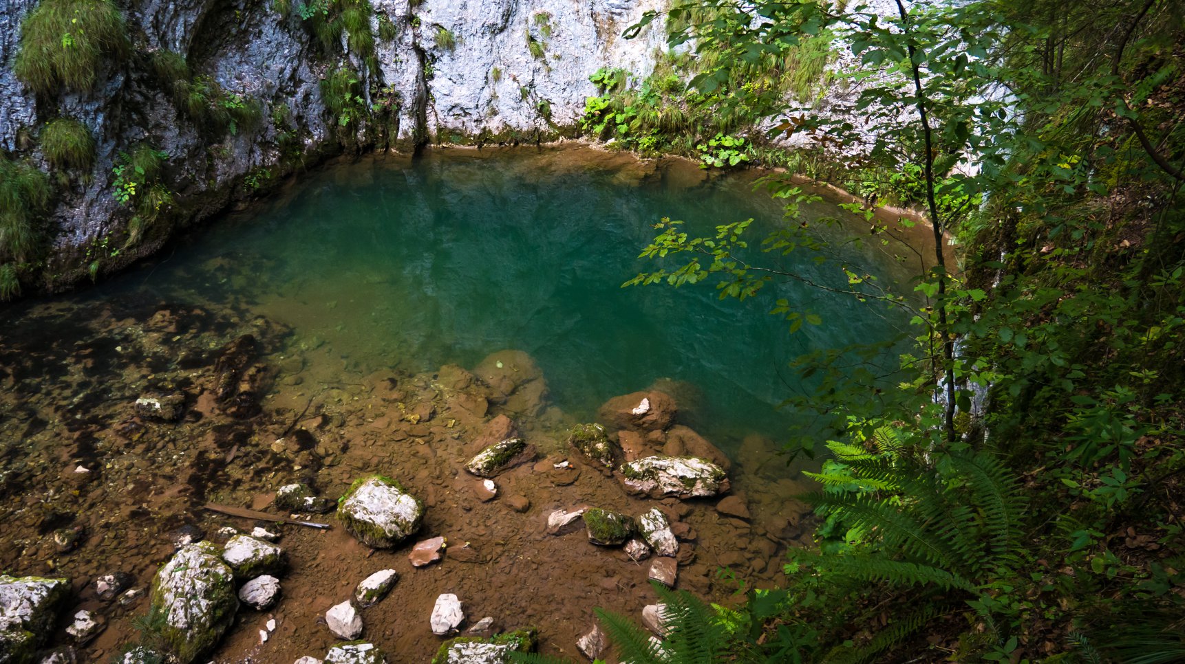 Izbucul Tăuzului - Popescu George