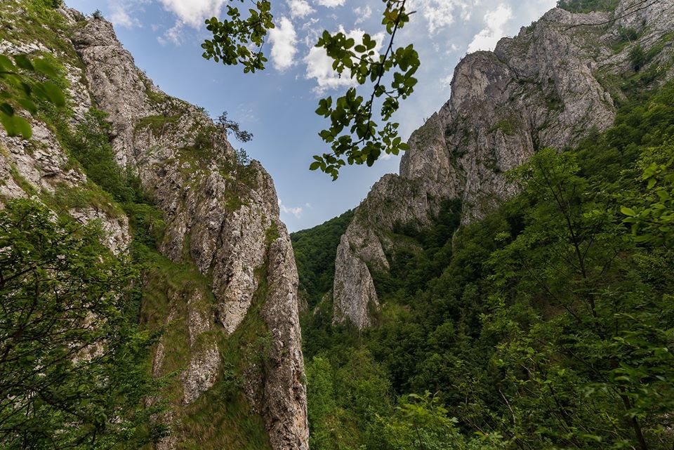  Cheile Rametului de pe Brana Caprei - Morar Daniel