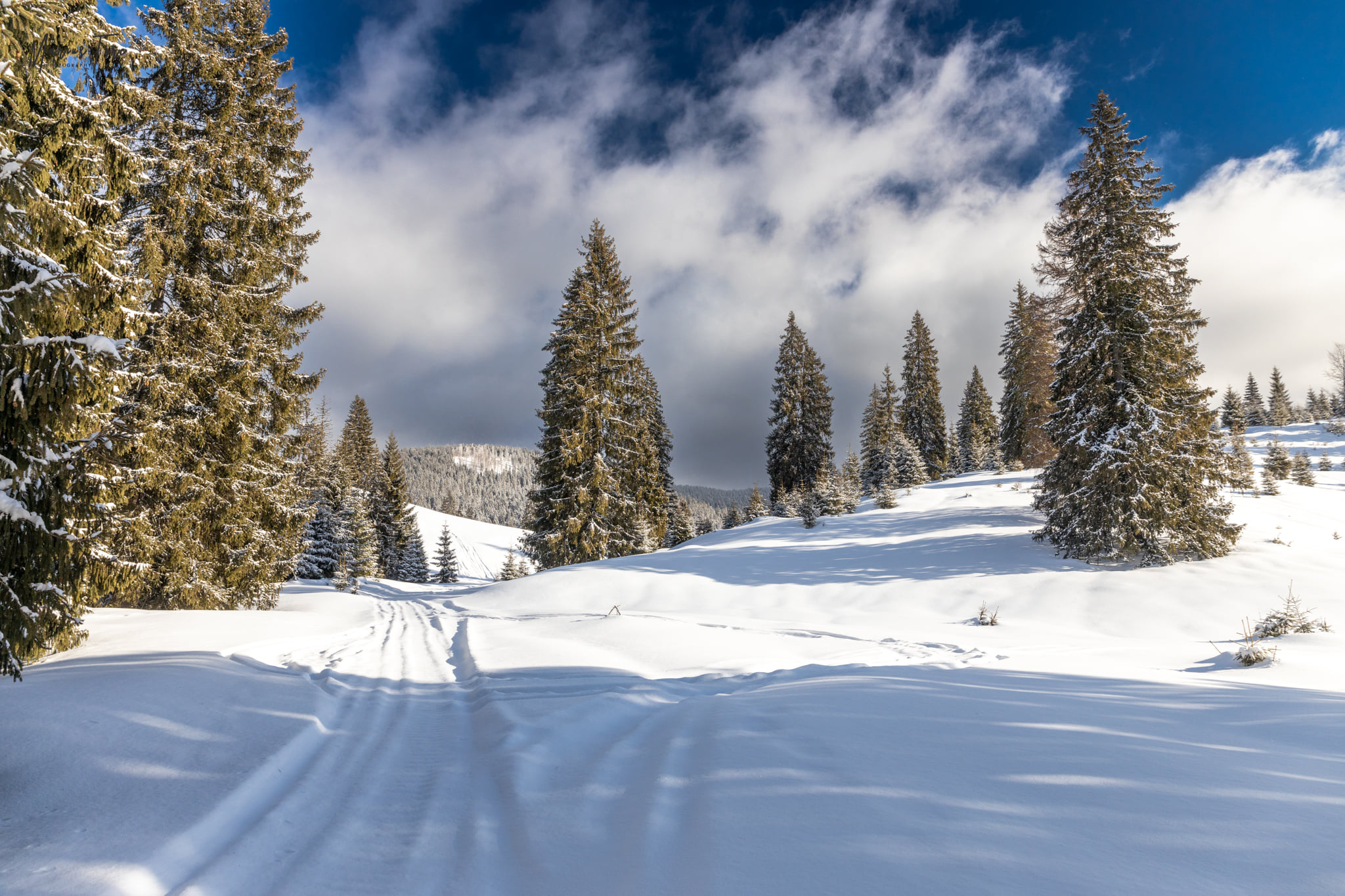 Spre cabana Varasoaia - Marius Turc