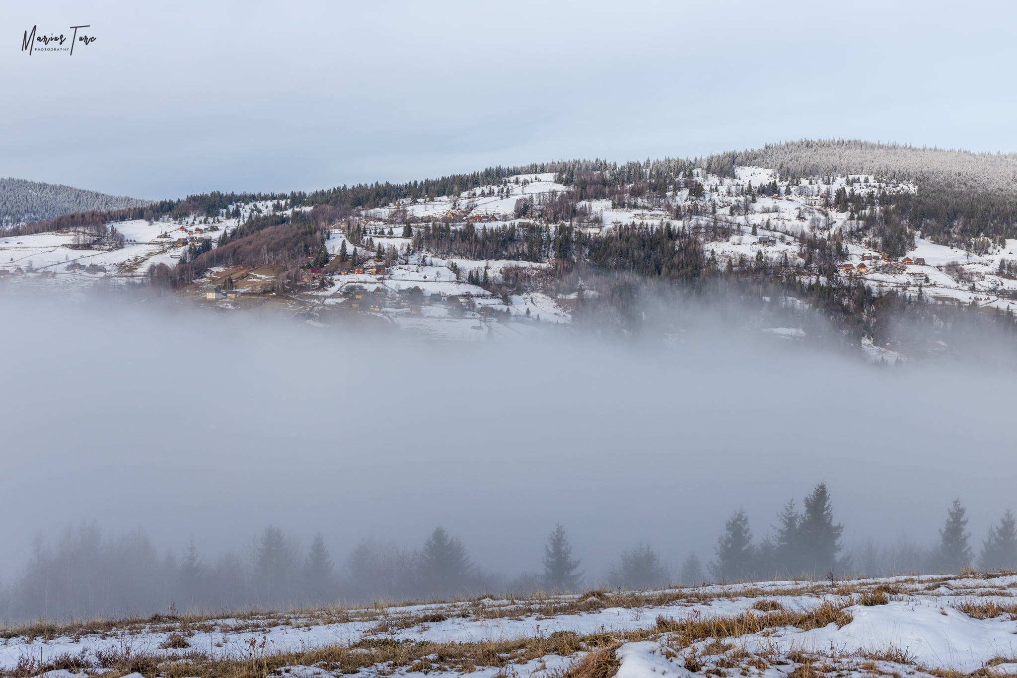 Vedere spre Trifesti - Marius Turc