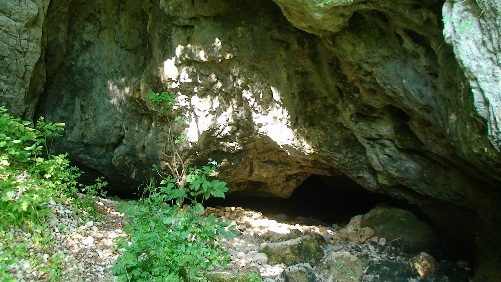  Izbucul Cotețul Dobreștilor - Tudor Ilie