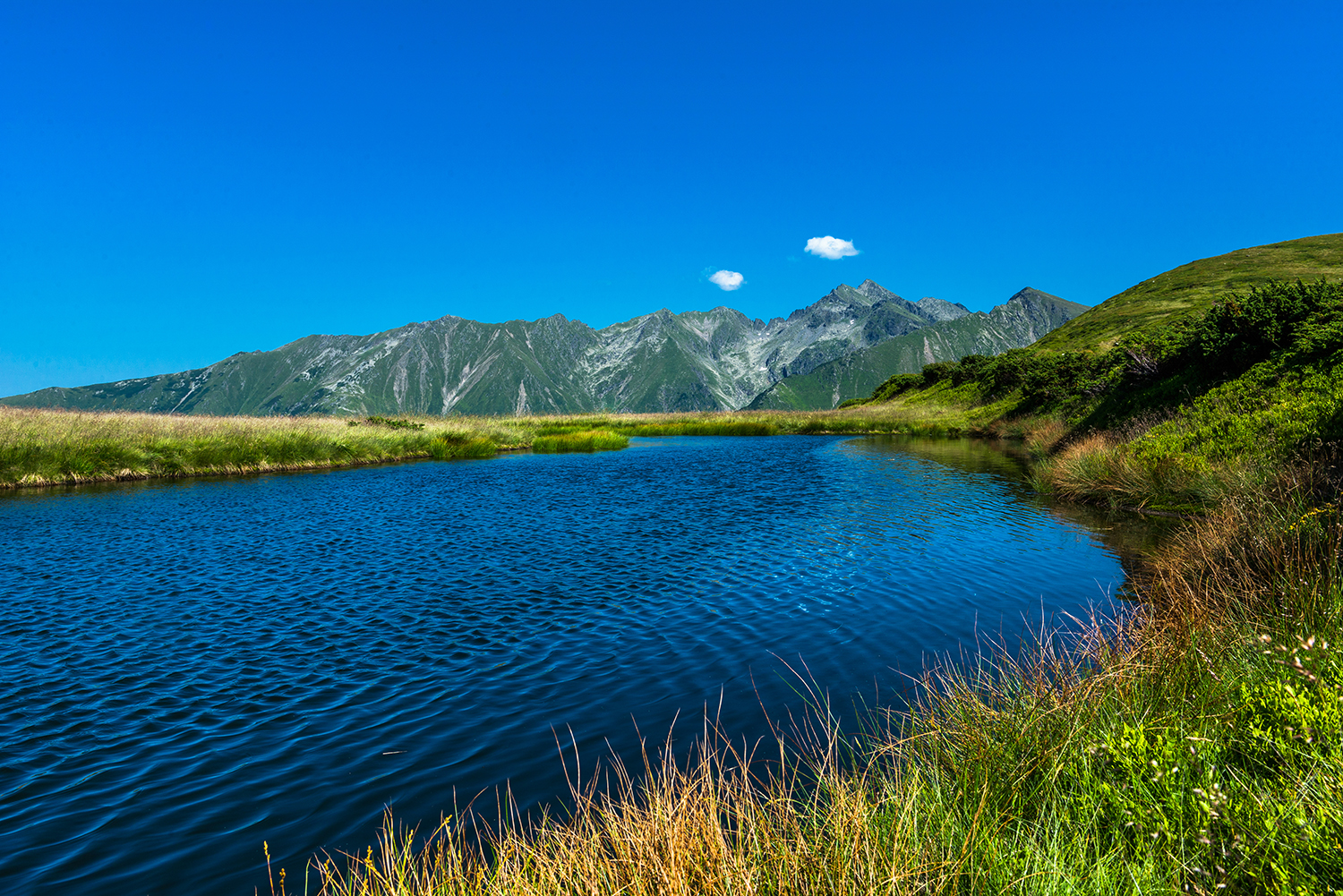 Carpații Meridionali