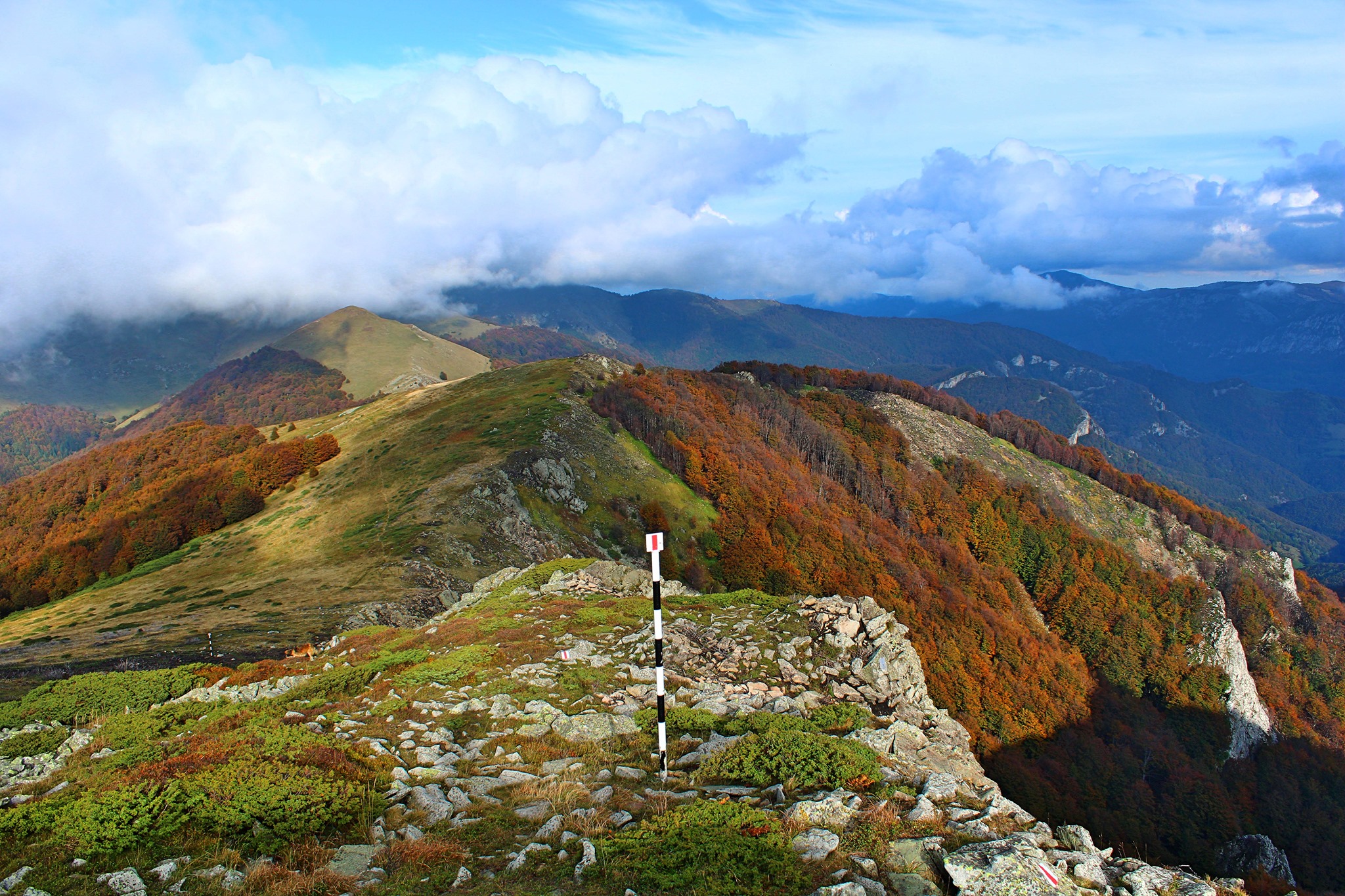  Coborârea de pe Arjana spre Şaua Prislop - Sima Constantin