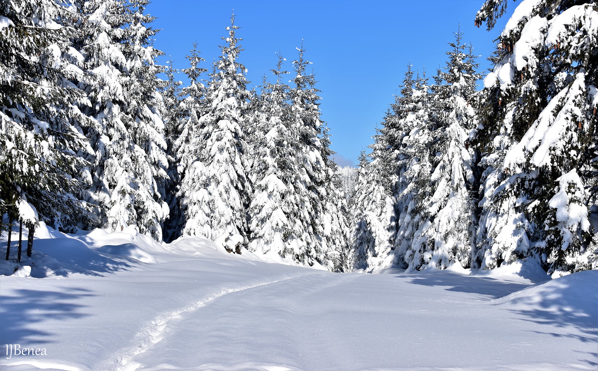  Poteca superba dintre brazi - Ioan Benea Jurca