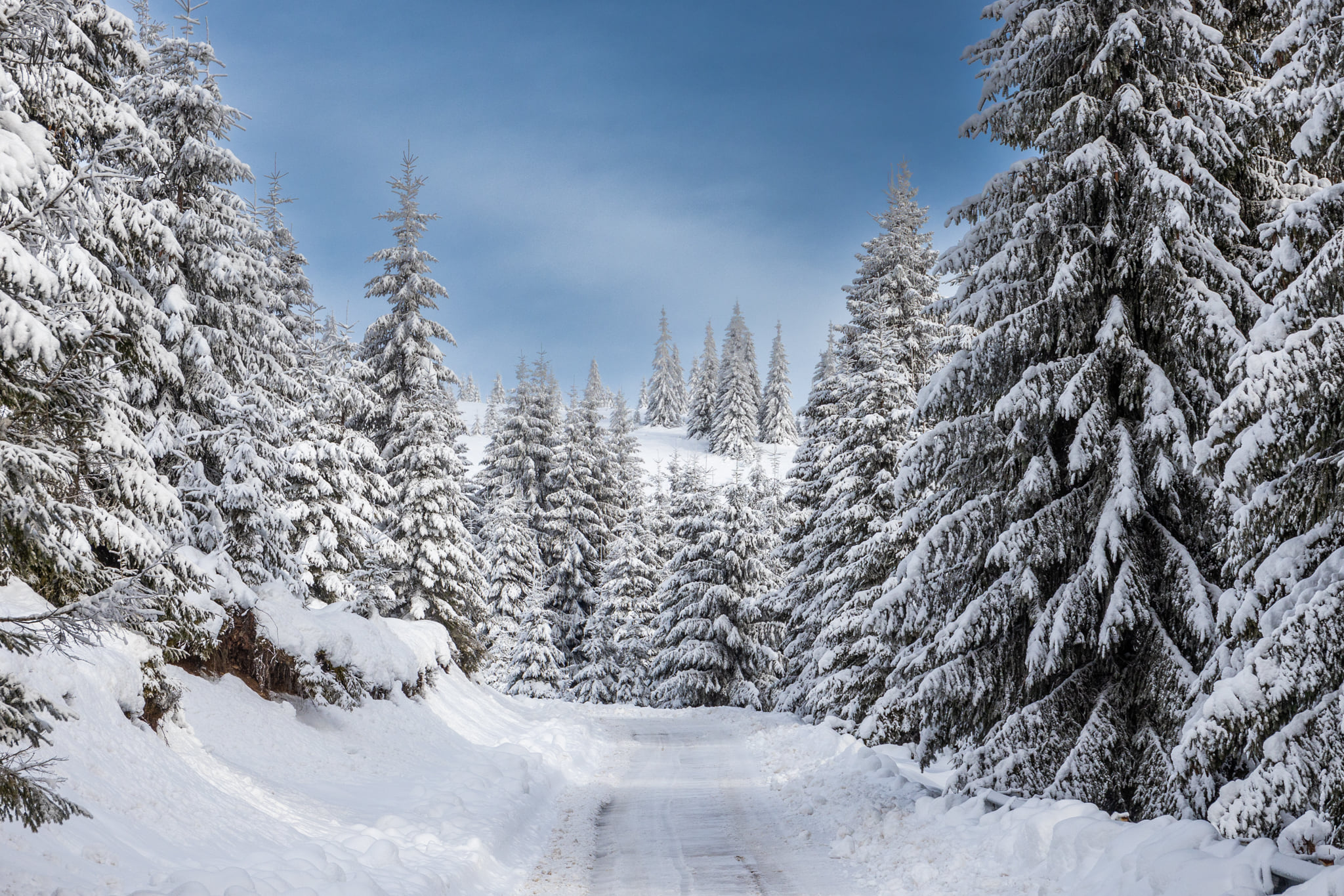  Drumul si brazii pudrati - Marius Turc