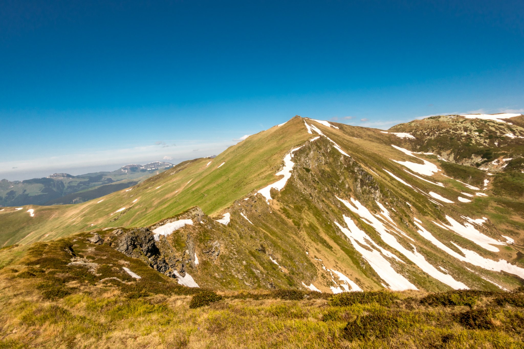  Tarnita lui Putredu - Csaba-Ilie Silvesan