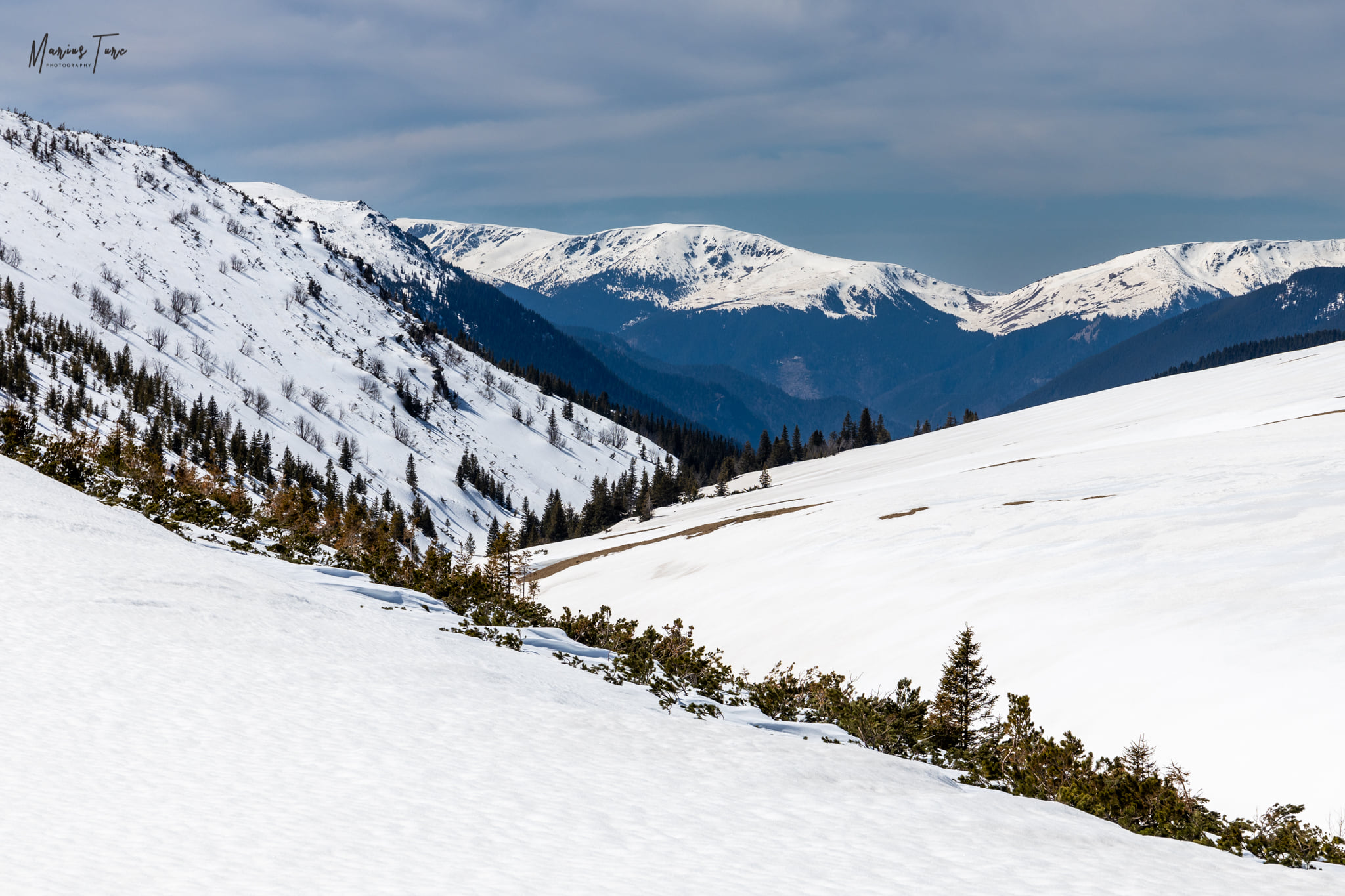  Vedere spre Godeanu - Marius Turc