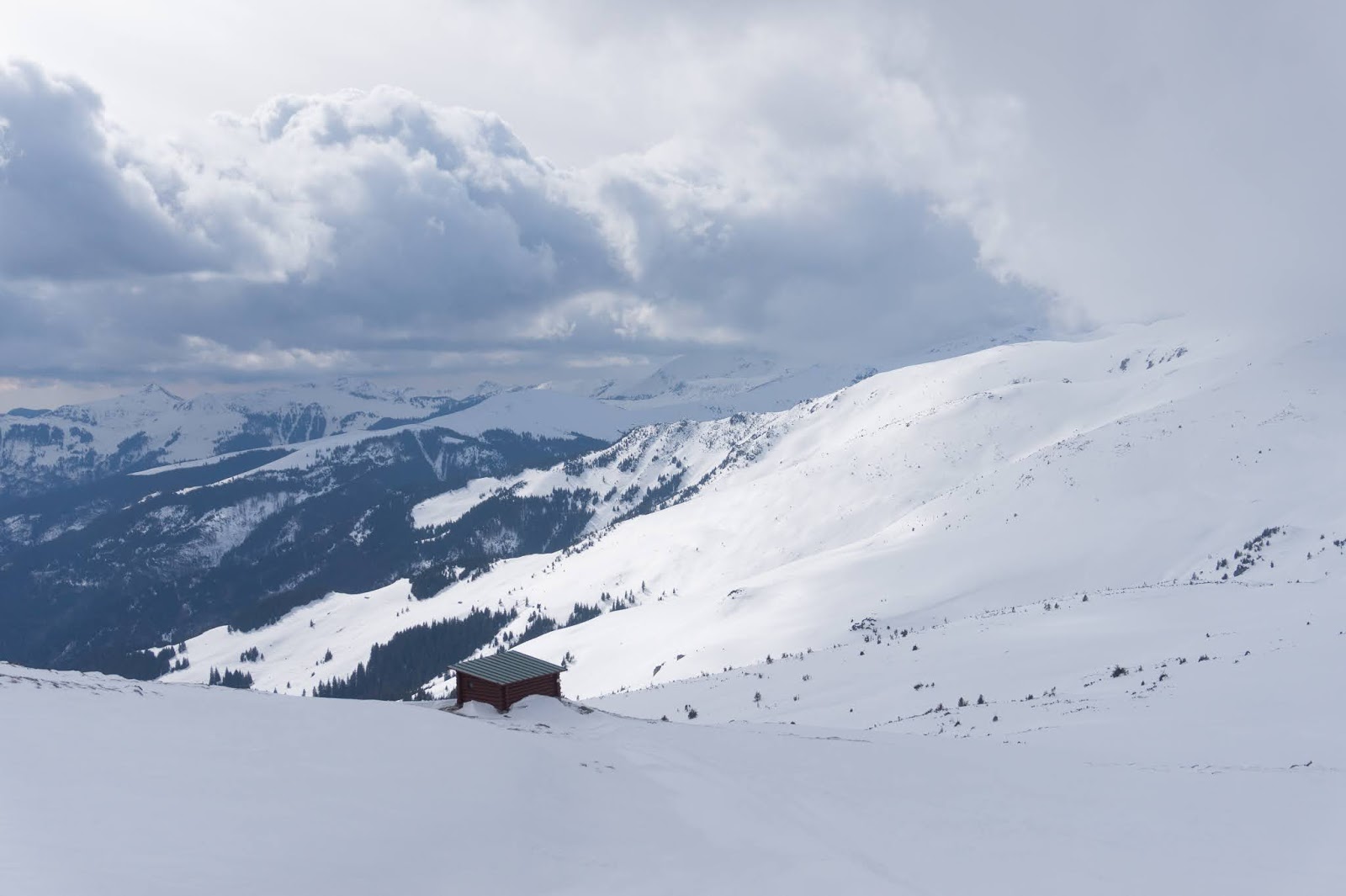 După amiază de iarnă în șaua Gărgălău - Alina Cîrja